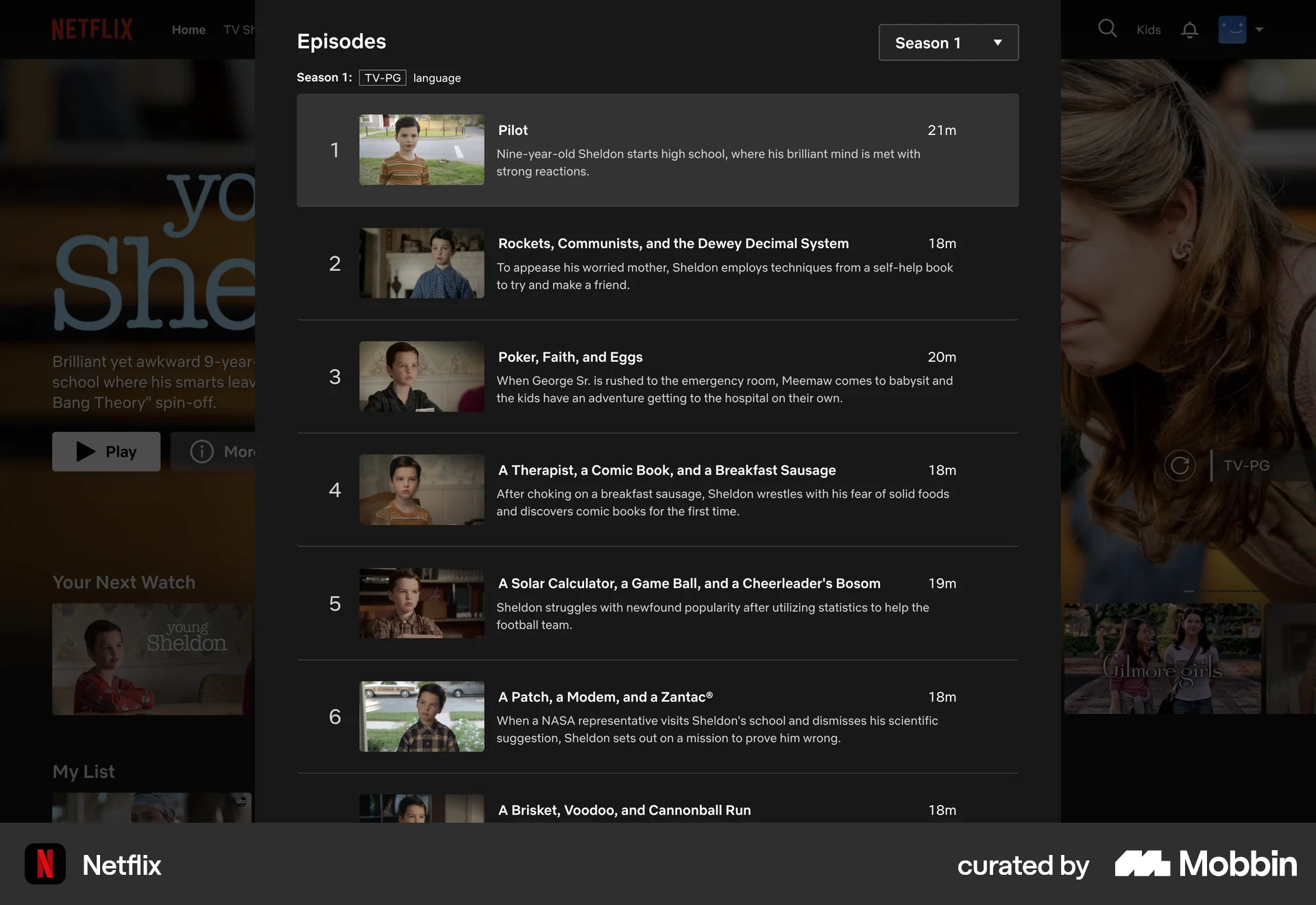 Netflix Web TV Show & Movie Detail screen