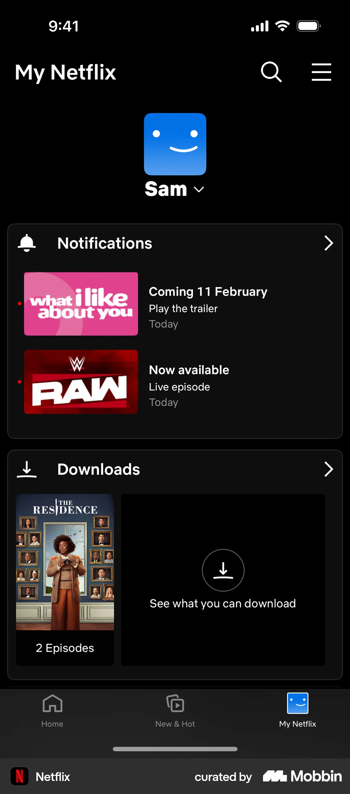 Netflix iOS My Account & Profile screen