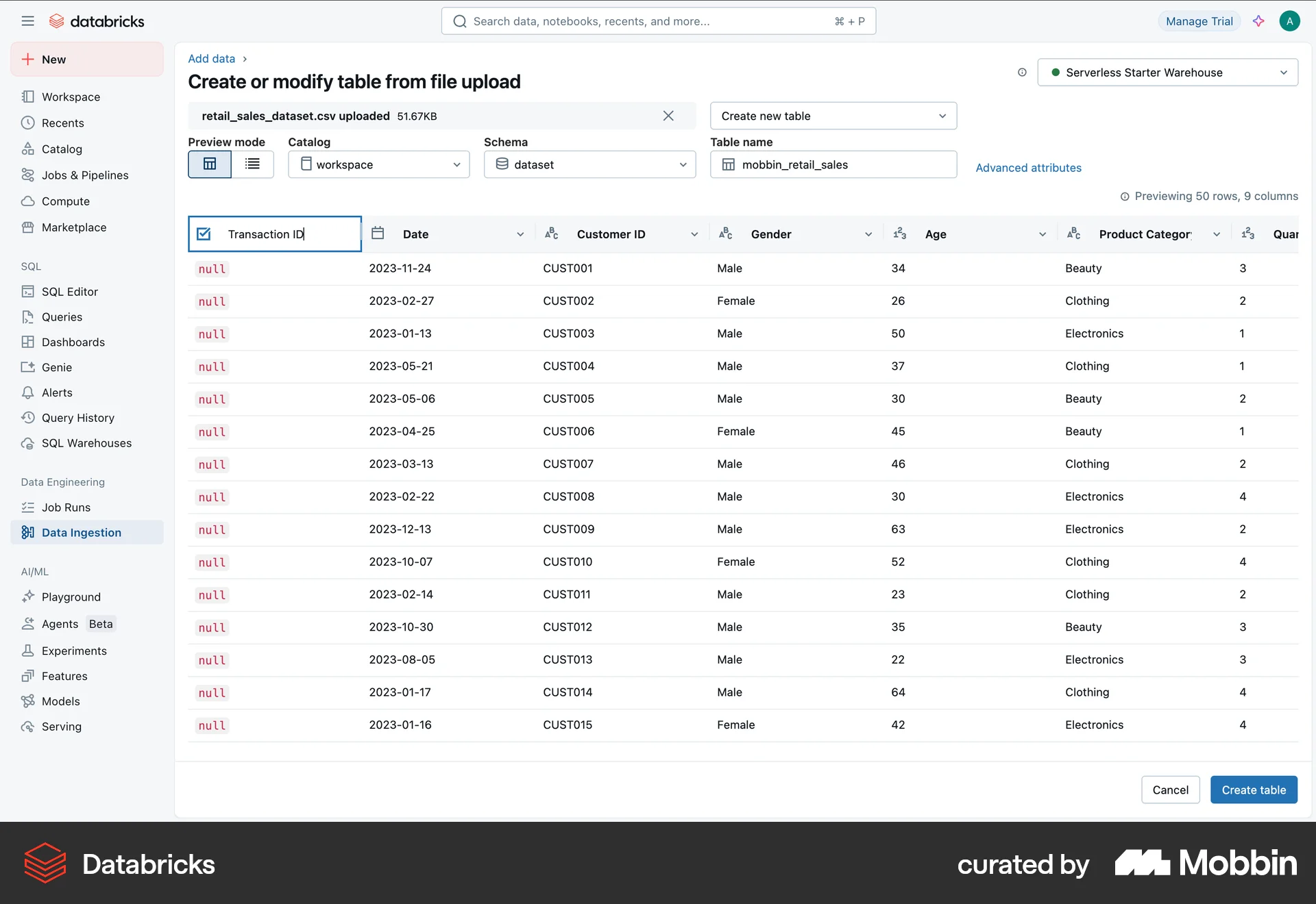 Databricks Web screen containing Editable Text UI element