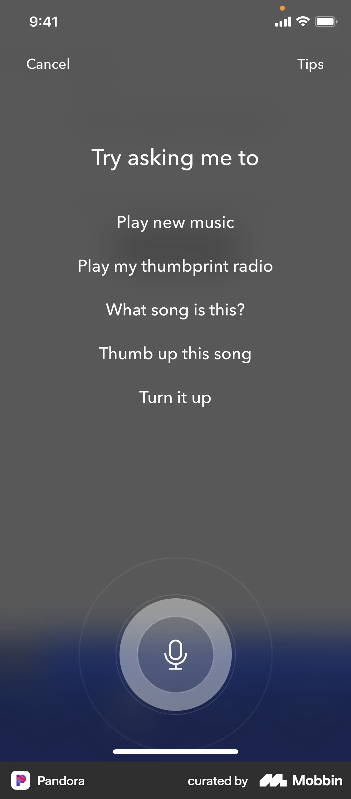 Pandora iOS Audio Player screen