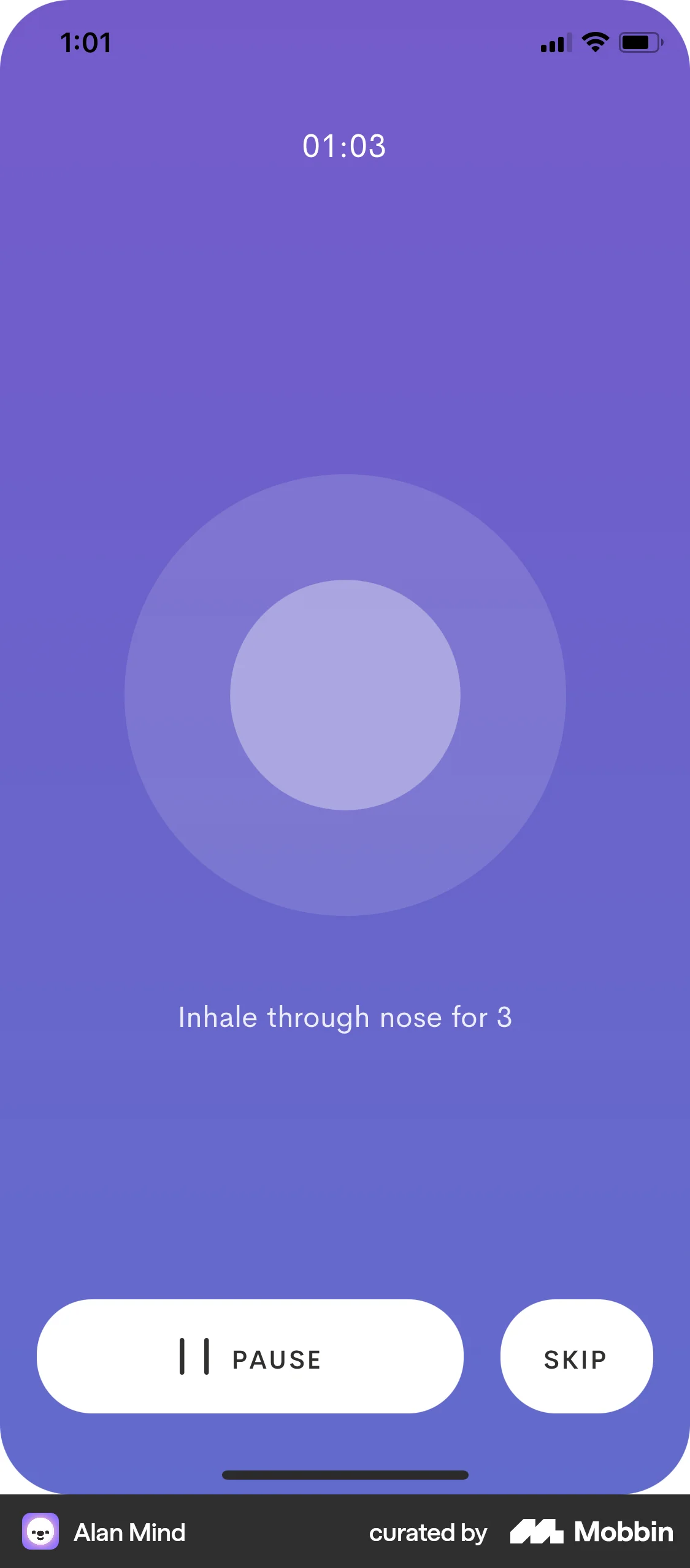 Alan Mind iOS Timer & Clock screen