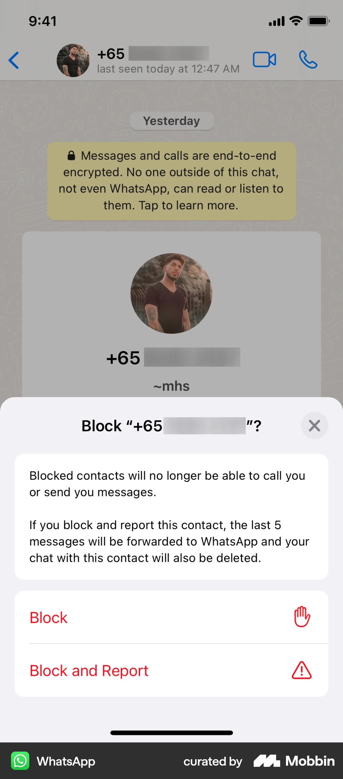 WhatsApp iOS Ban & Block screen