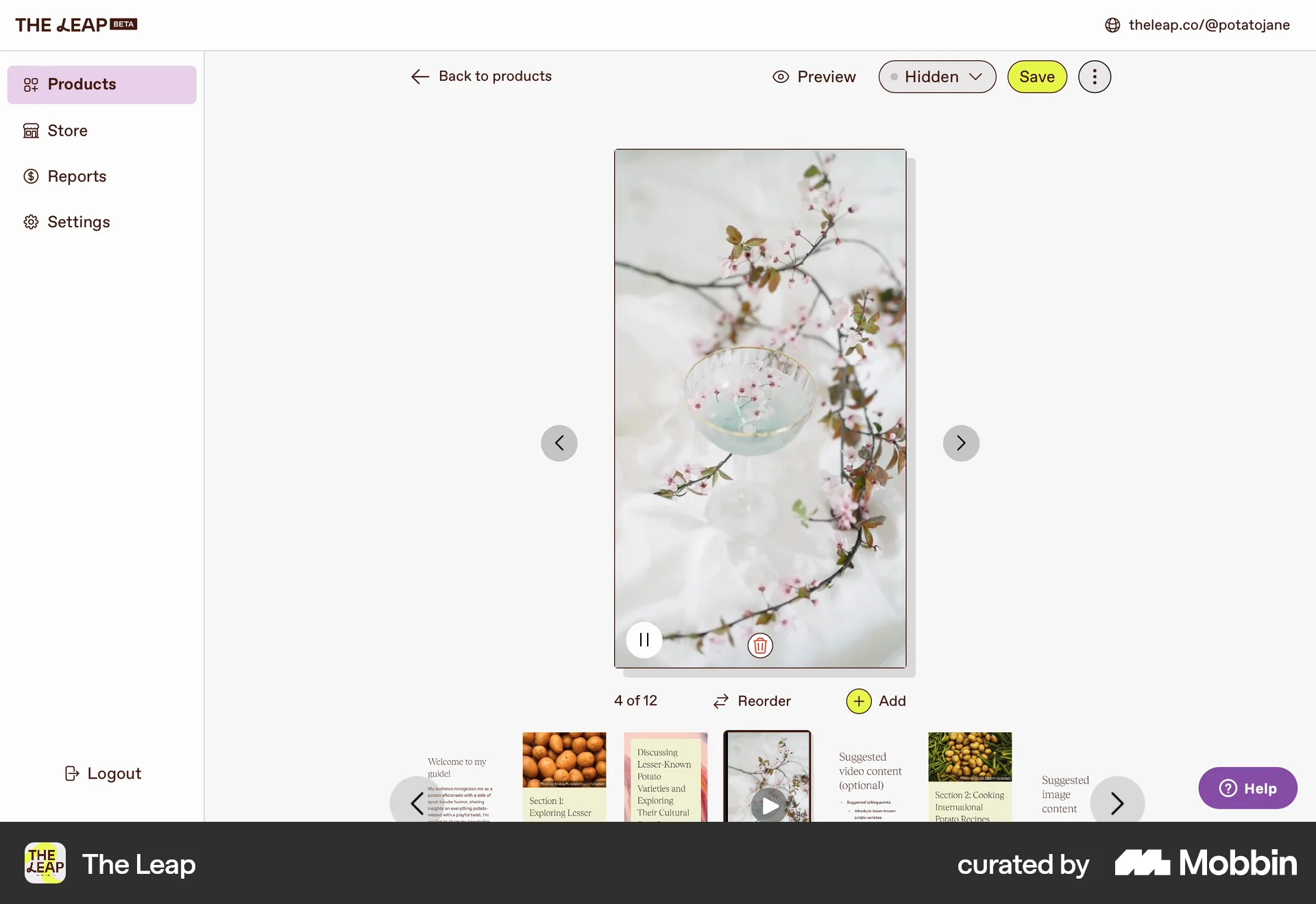 The Leap Web Video Player screen