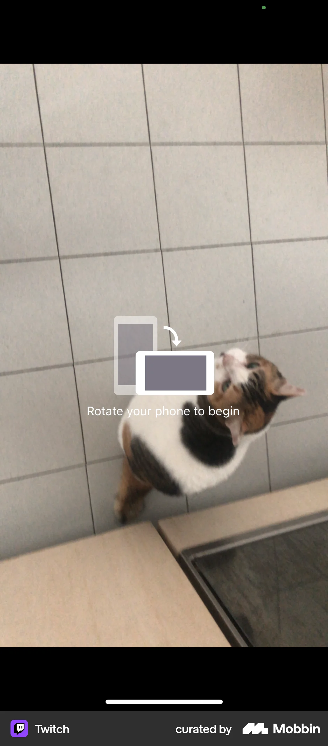 Twitch iOS Audio & Video Recorder screen