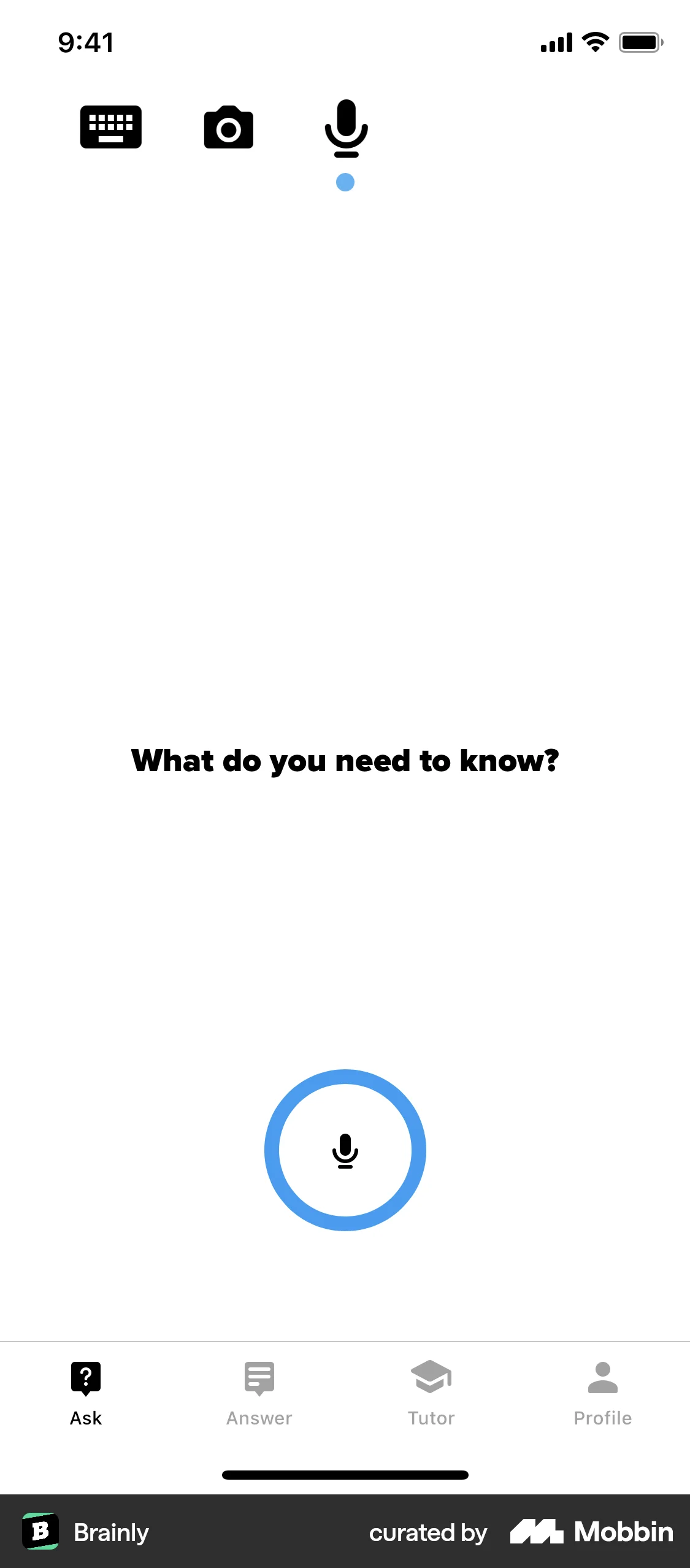 Brainly iOS Audio & Video Recorder screen