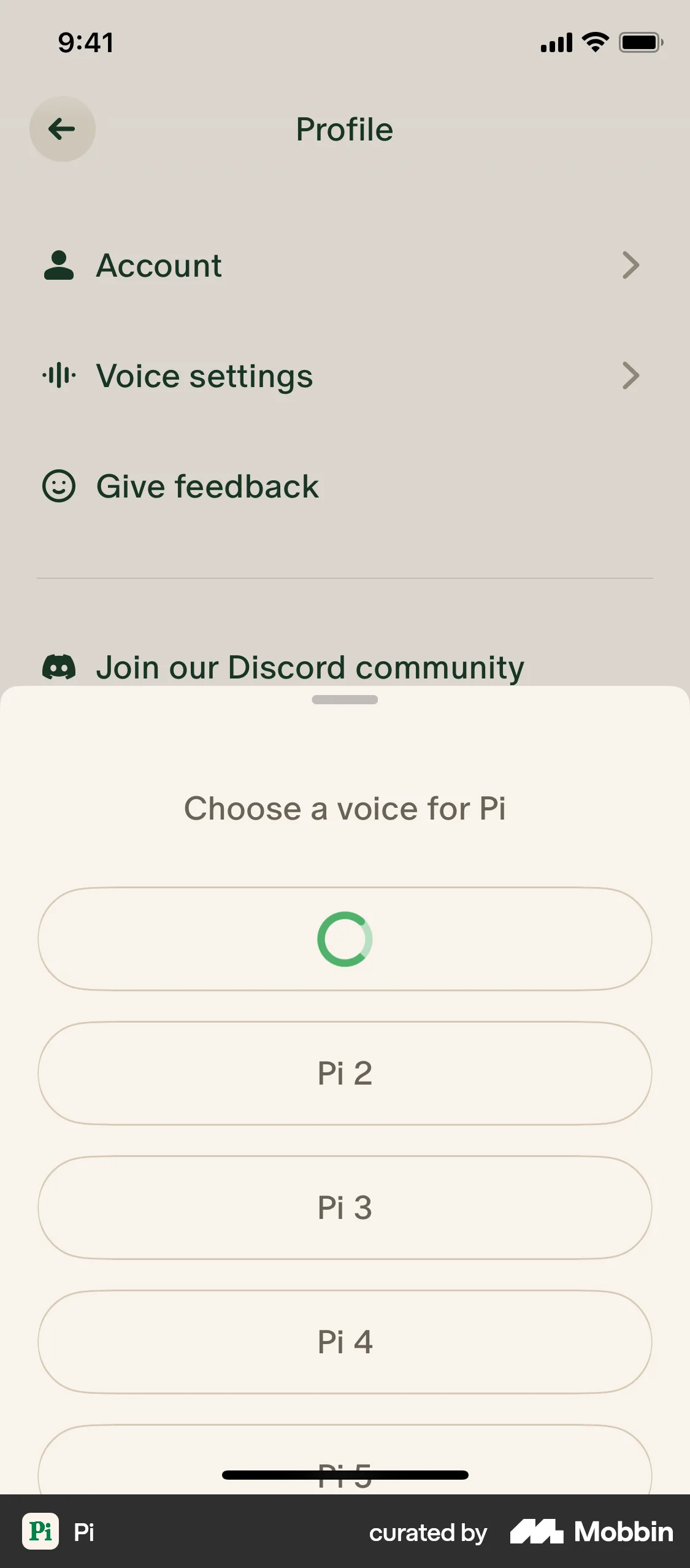 Pi iOS Voice UI screen