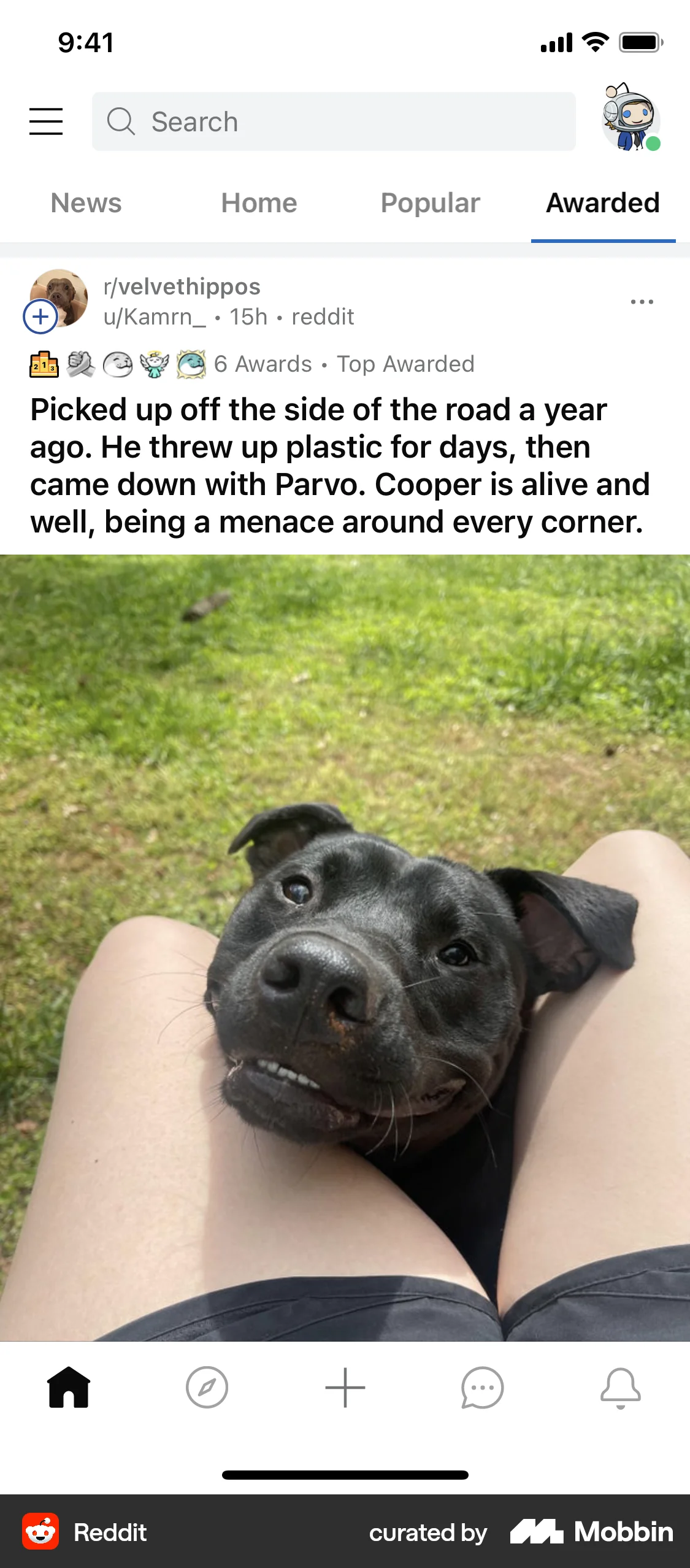 Reddit iOS News Feed screen