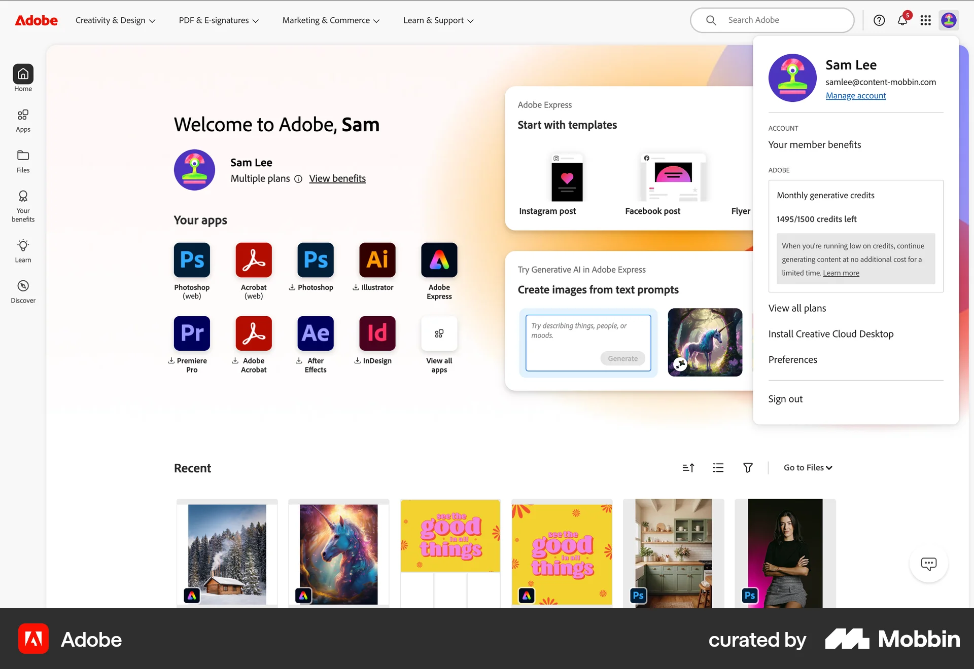 Adobe Web Wallet & Balance screen