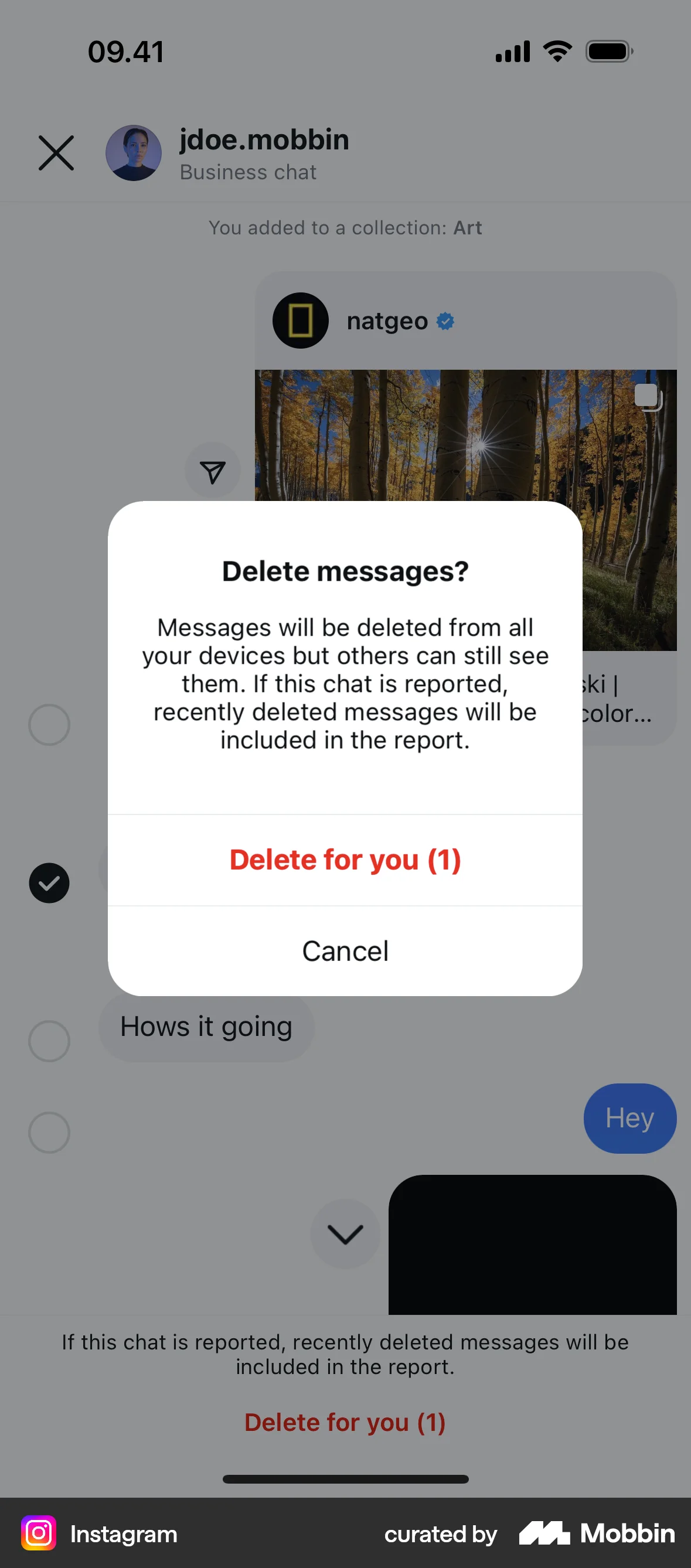 Instagram iOS Delete screen