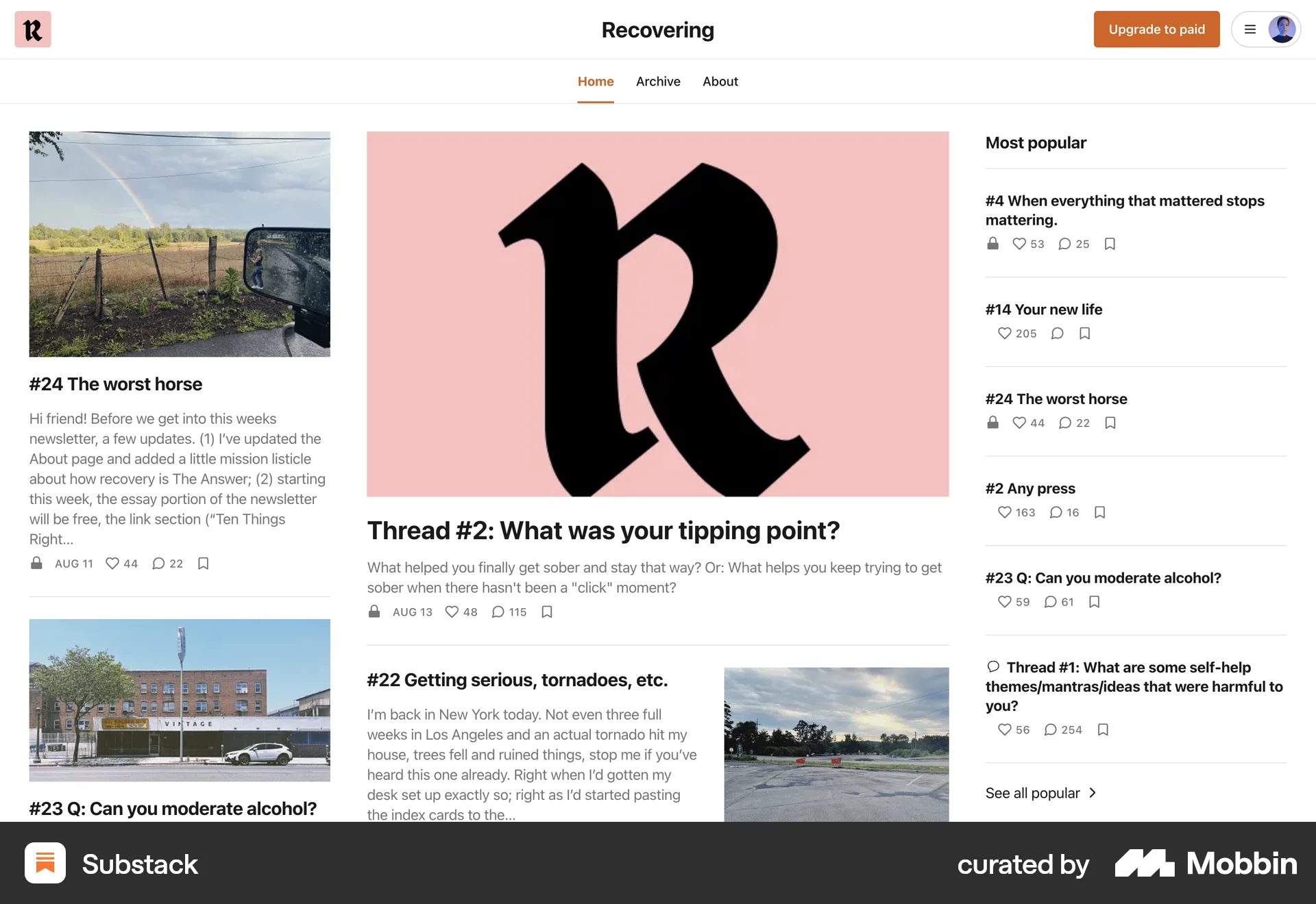 Substack Web News Feed screen