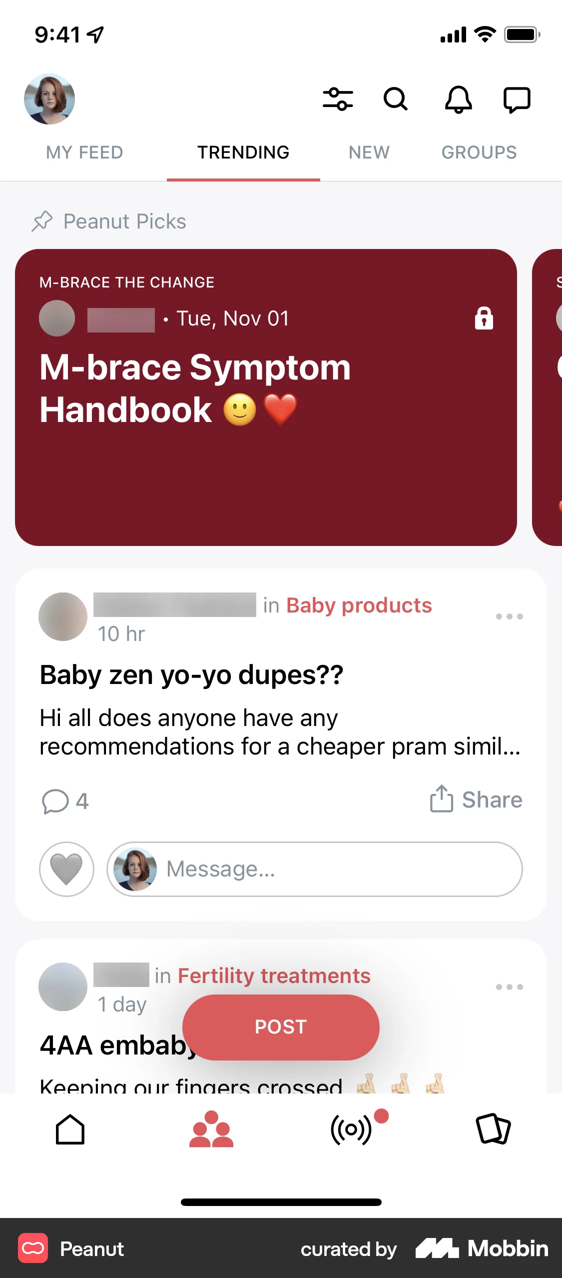 Peanut iOS Social Feed screen