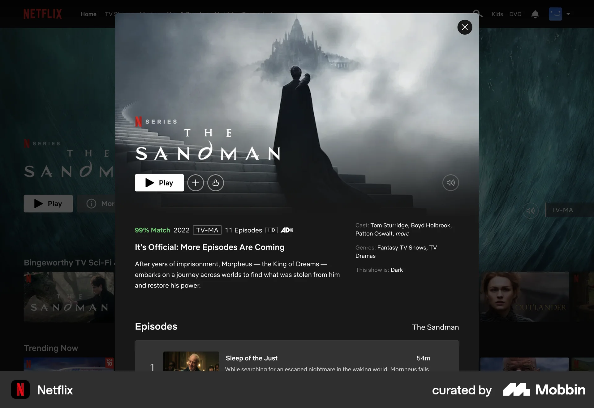 Netflix Web TV Show & Movie Detail screen
