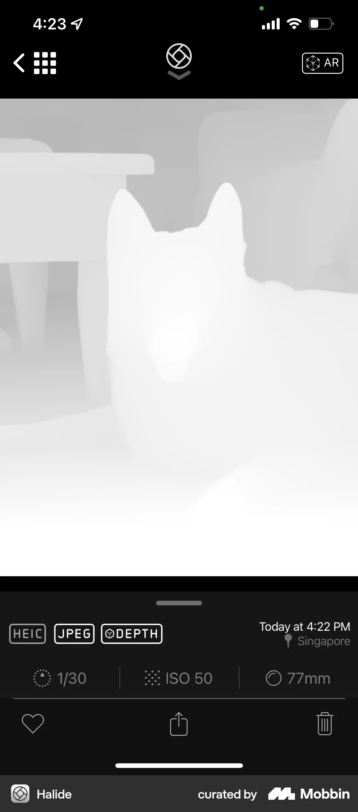 Halide iOS Filters & Stickers screen