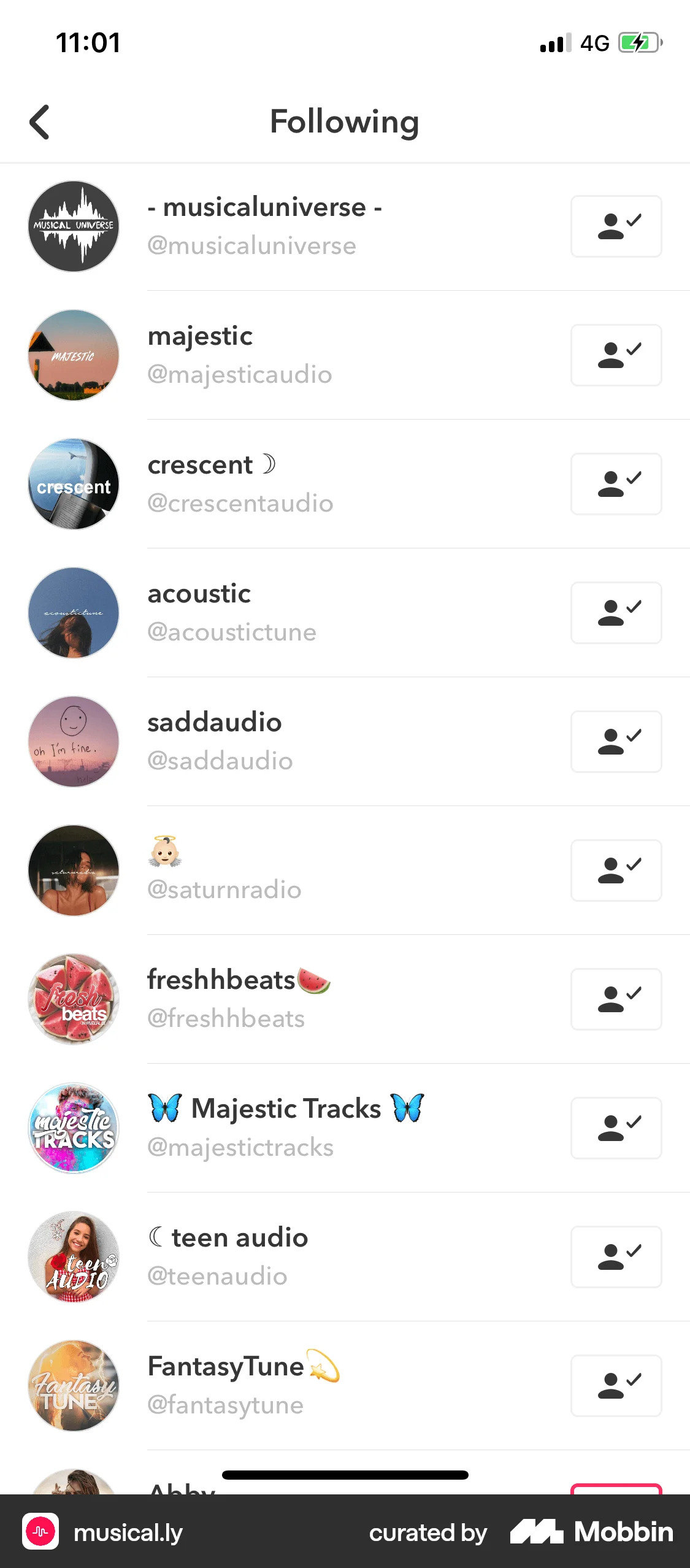 musical.ly iOS Followers & Following screen