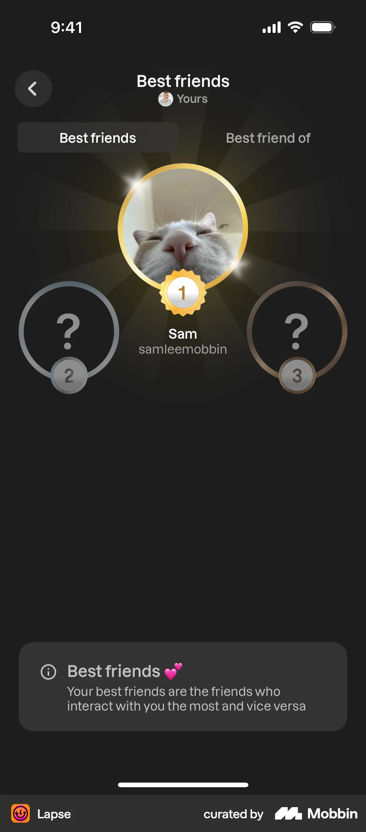 Lapse iOS Leaderboard screen
