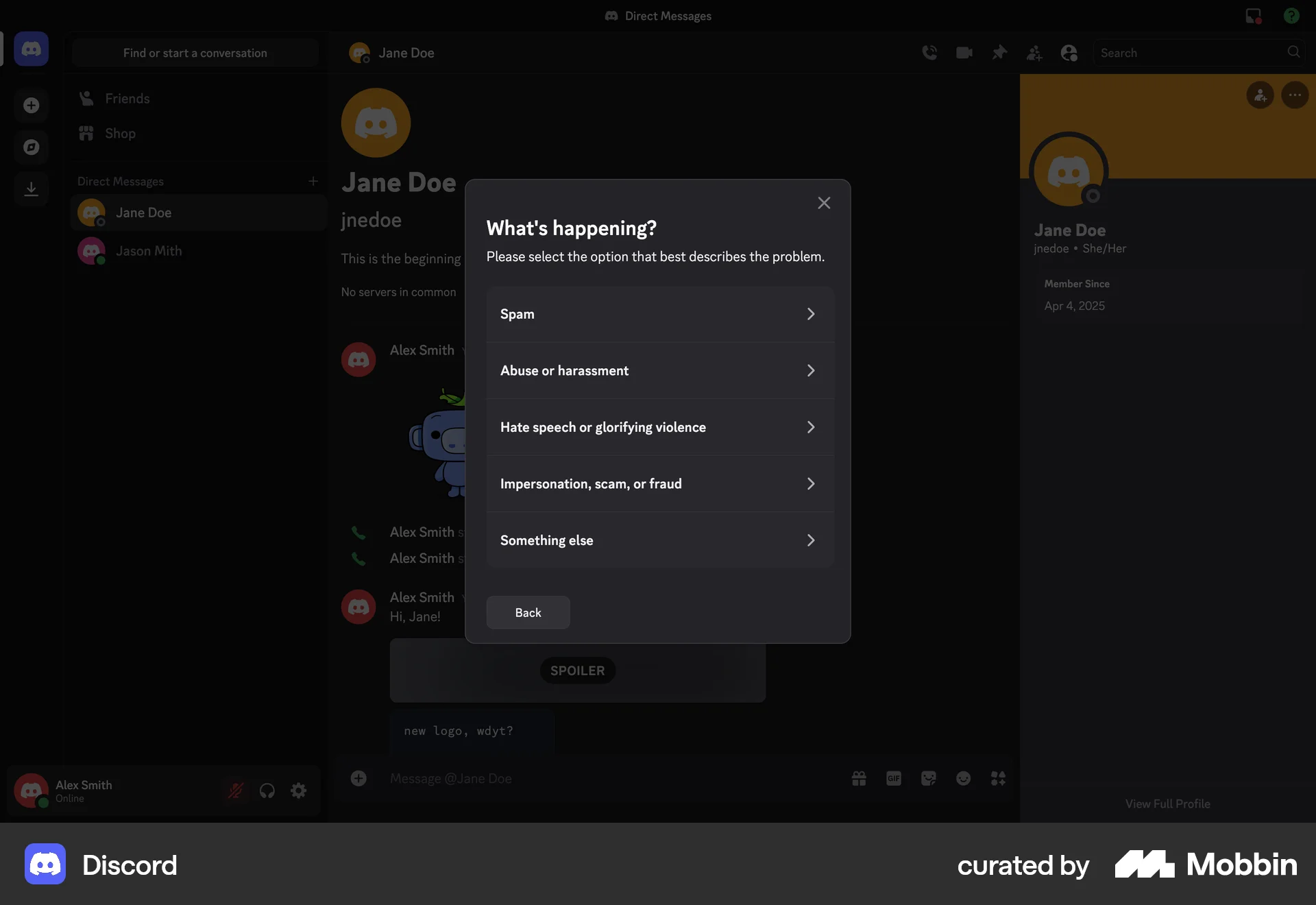 Discord Web Flag & Report screen