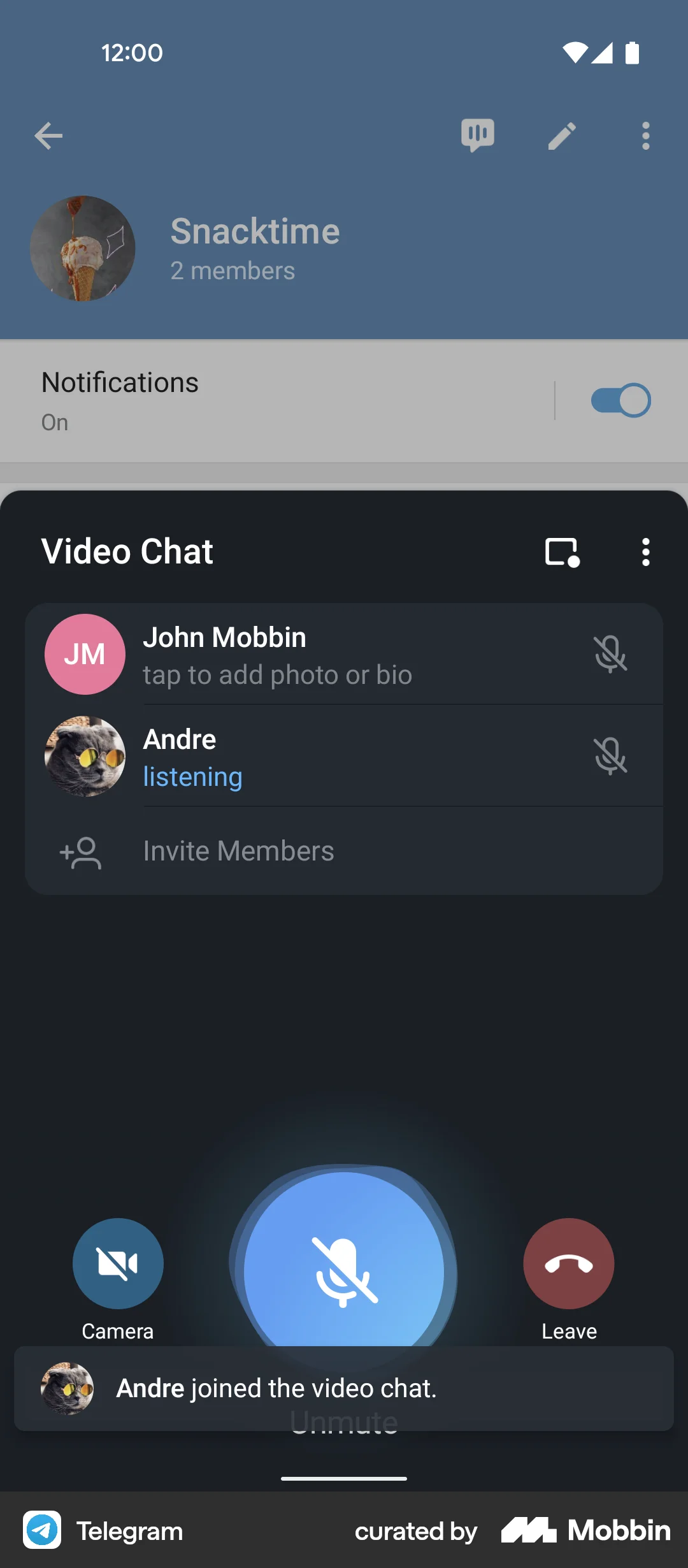 Telegram Android Call screen