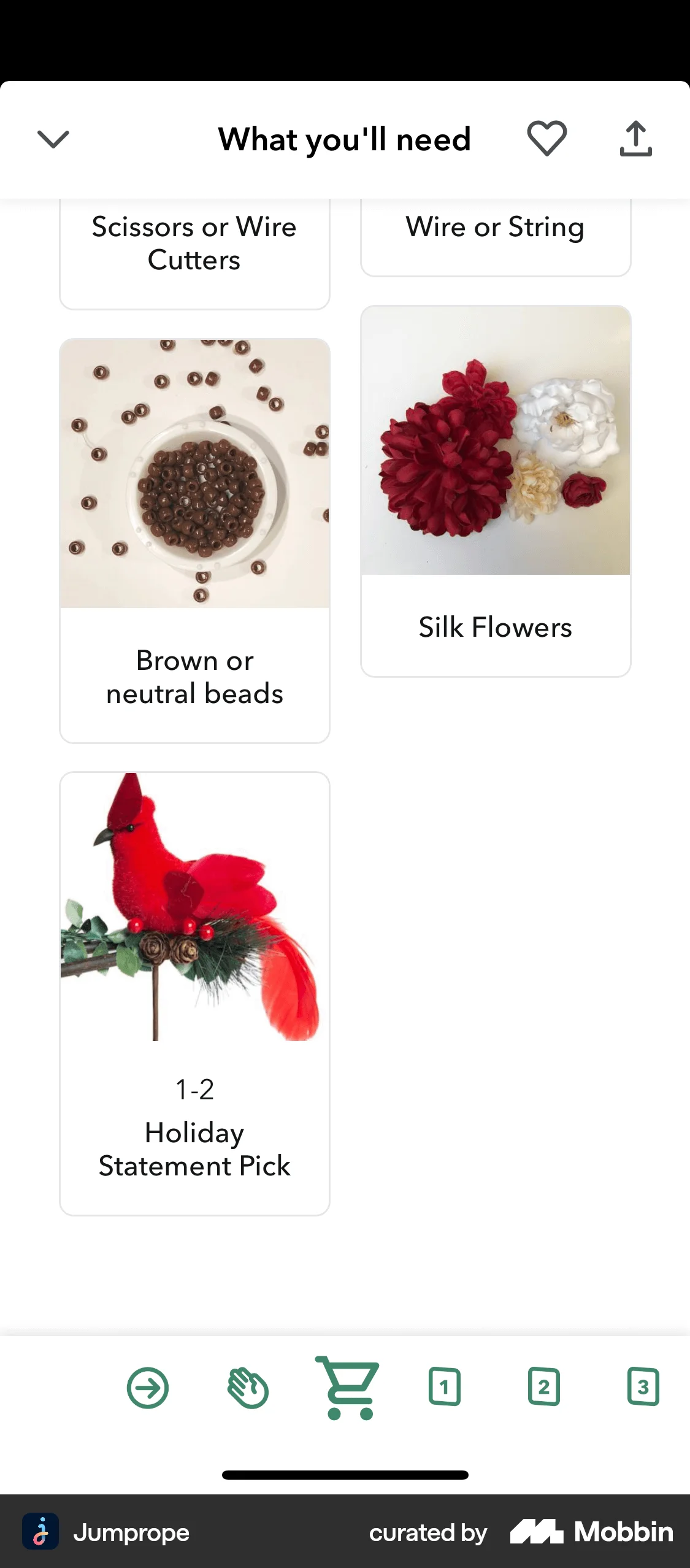Jumprope iOS Photo & Video App screen