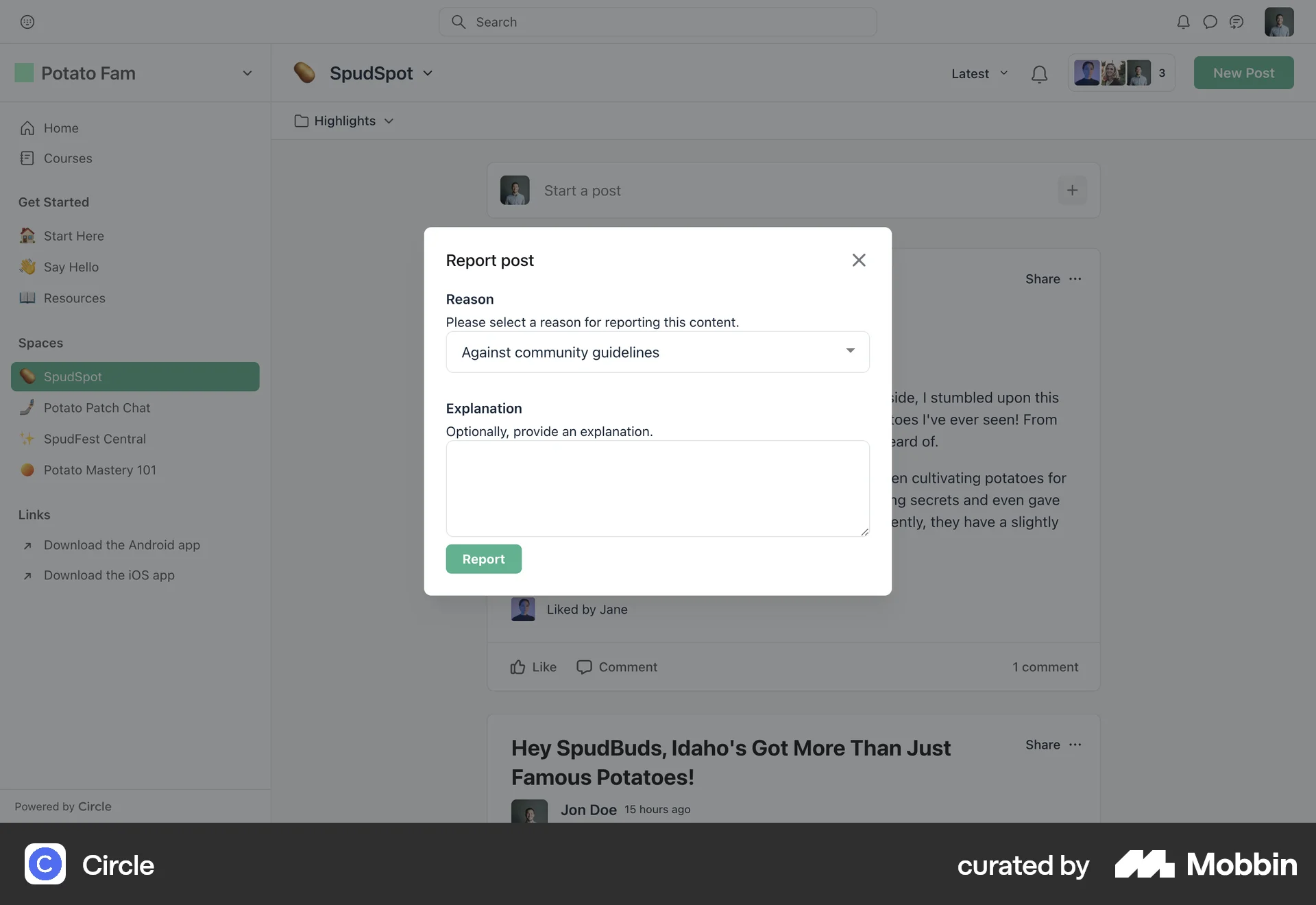 Circle Web Flag & Report screen