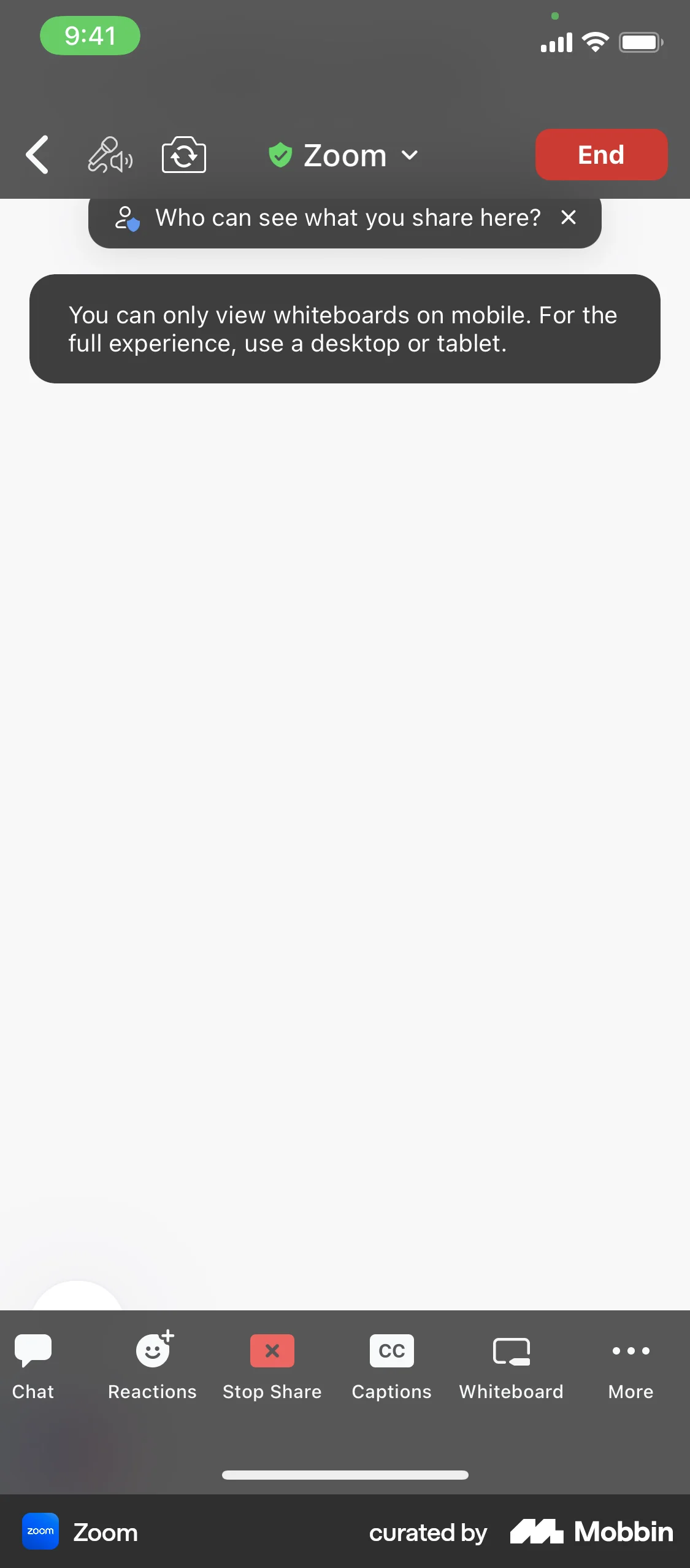 Zoom iOS Call screen