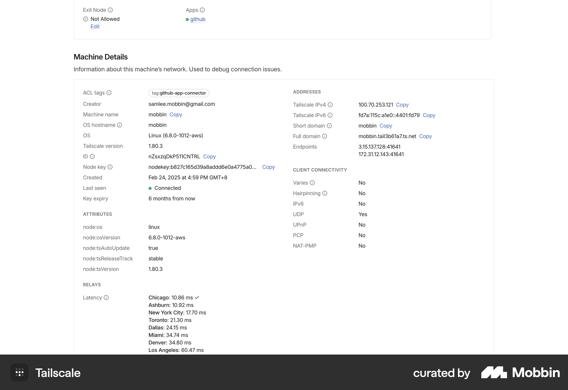 Tailscale Web Utilities App screen