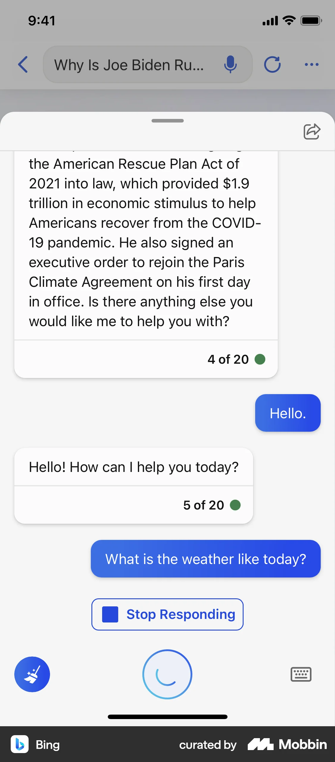 Bing iOS Chat Detail screen