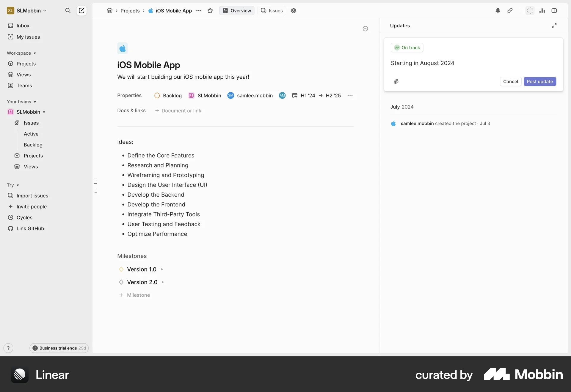 Linear Web Comments screen