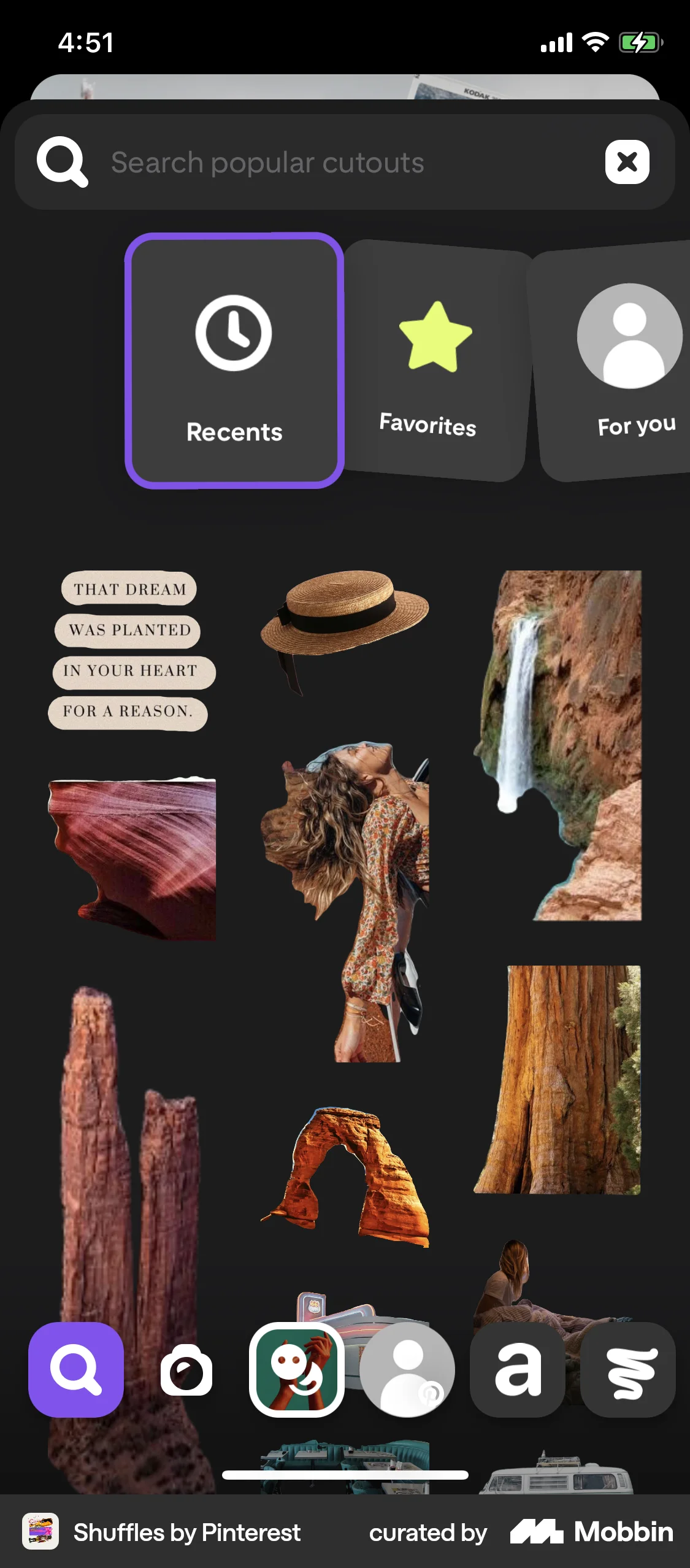 Shuffles by Pinterest iOS screen containing Gallery UI element