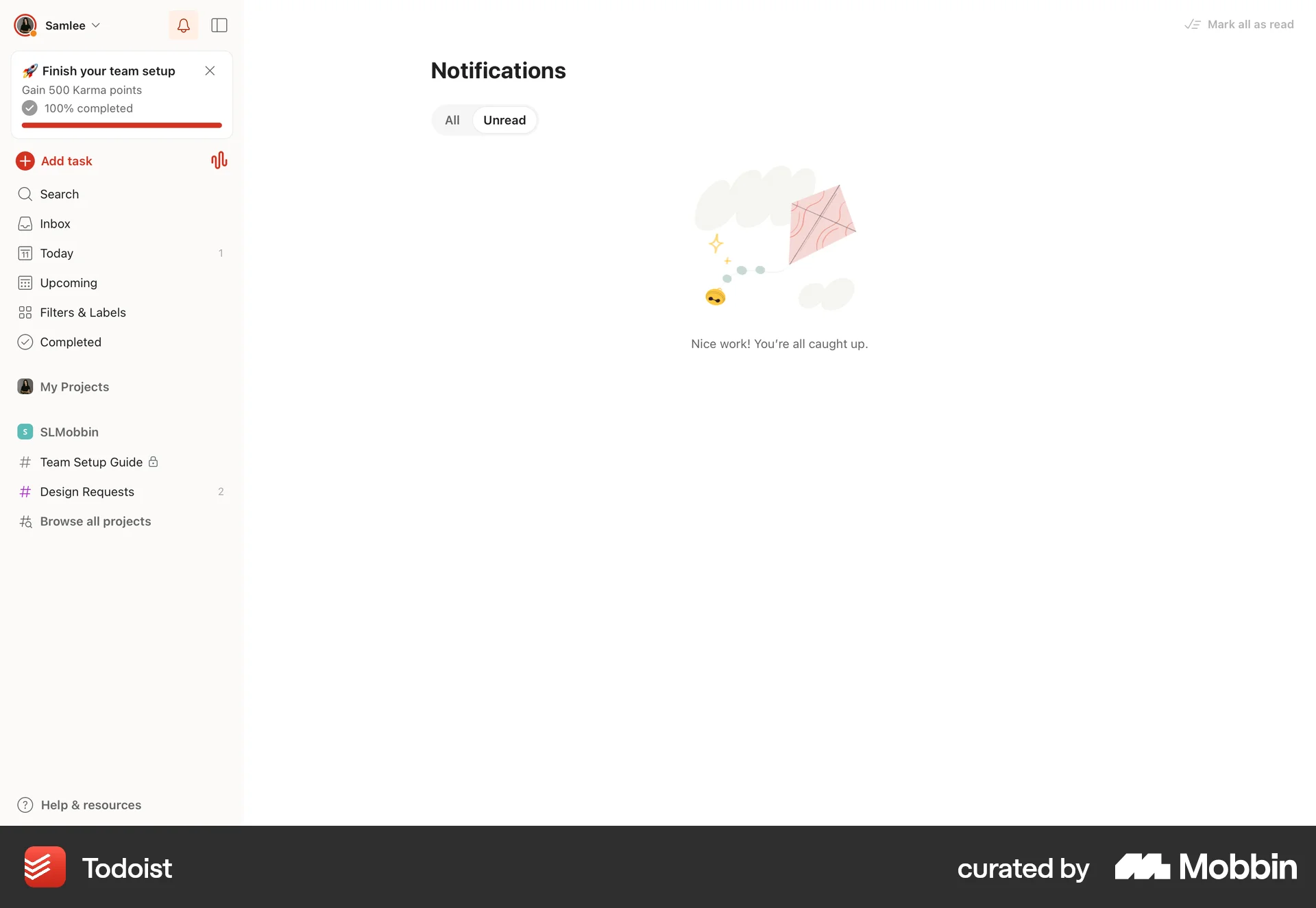 Todoist Web Notifications screen