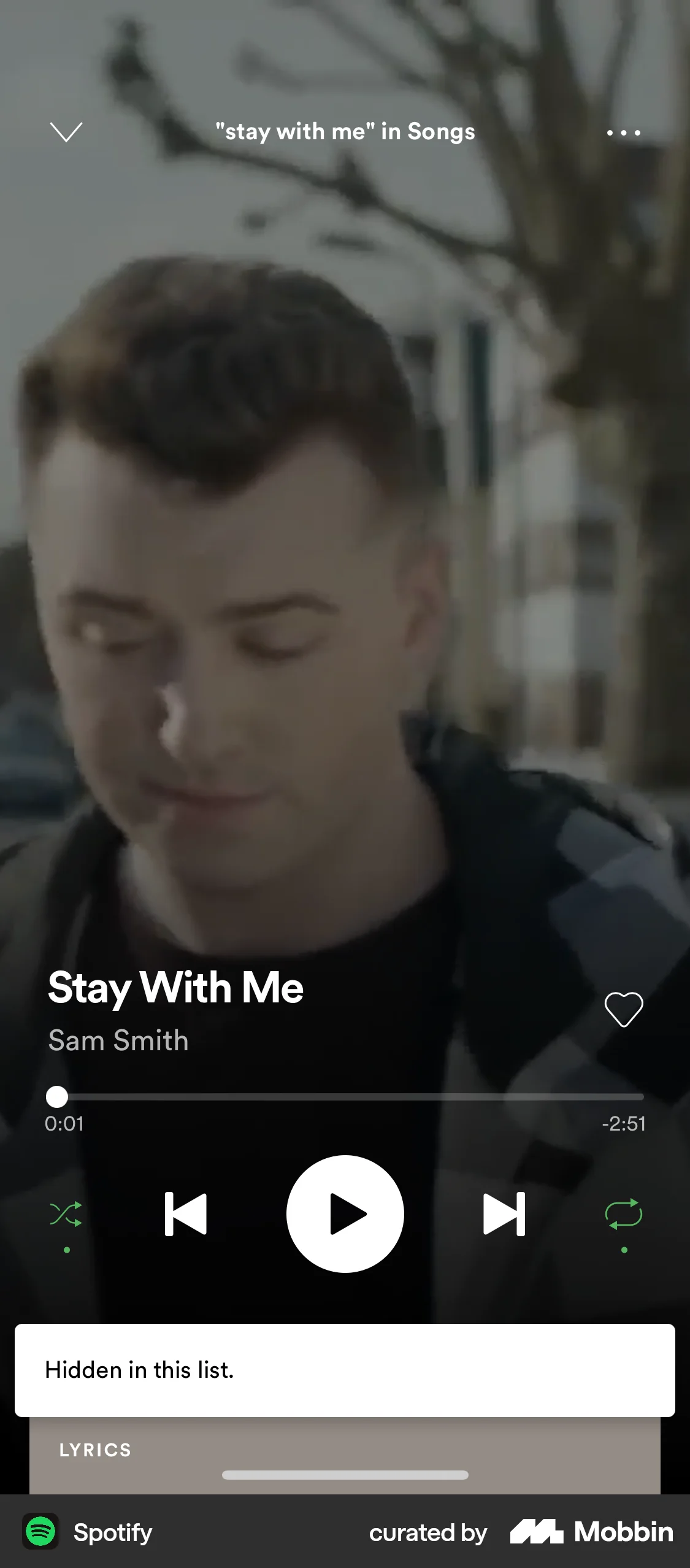 Spotify iOS Song & Podcast Detail screen