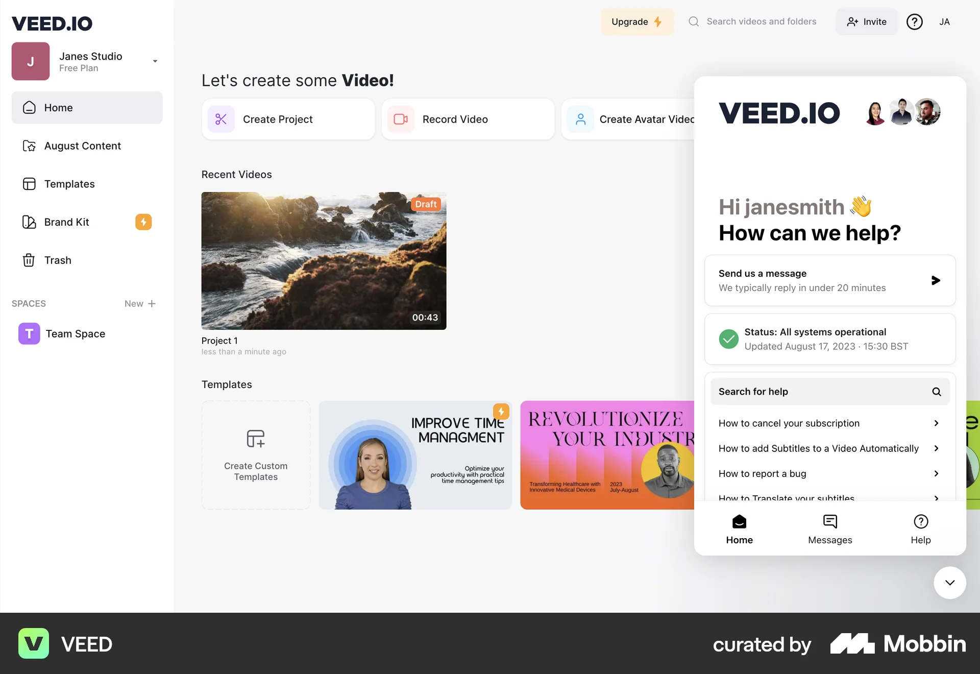 VEED Web Chat Bot screen