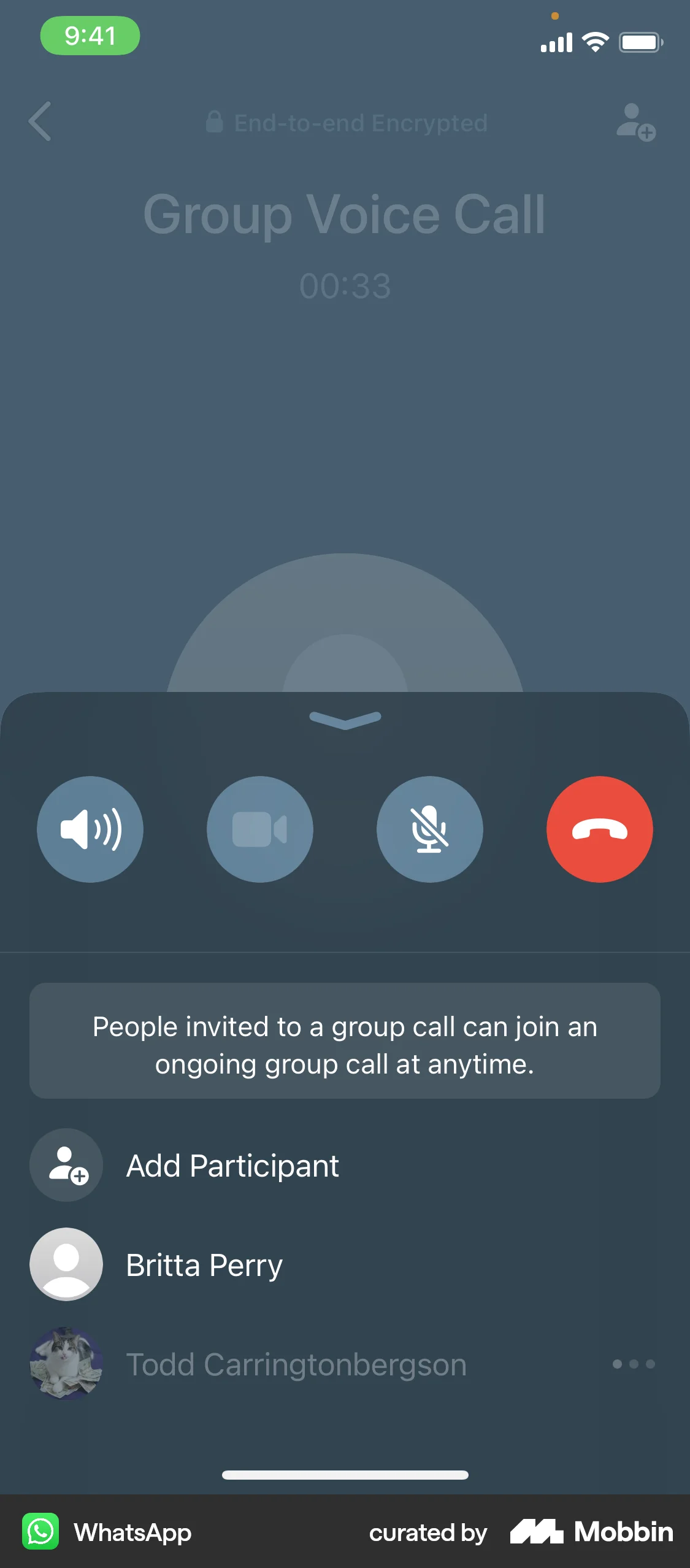 WhatsApp iOS Call screen