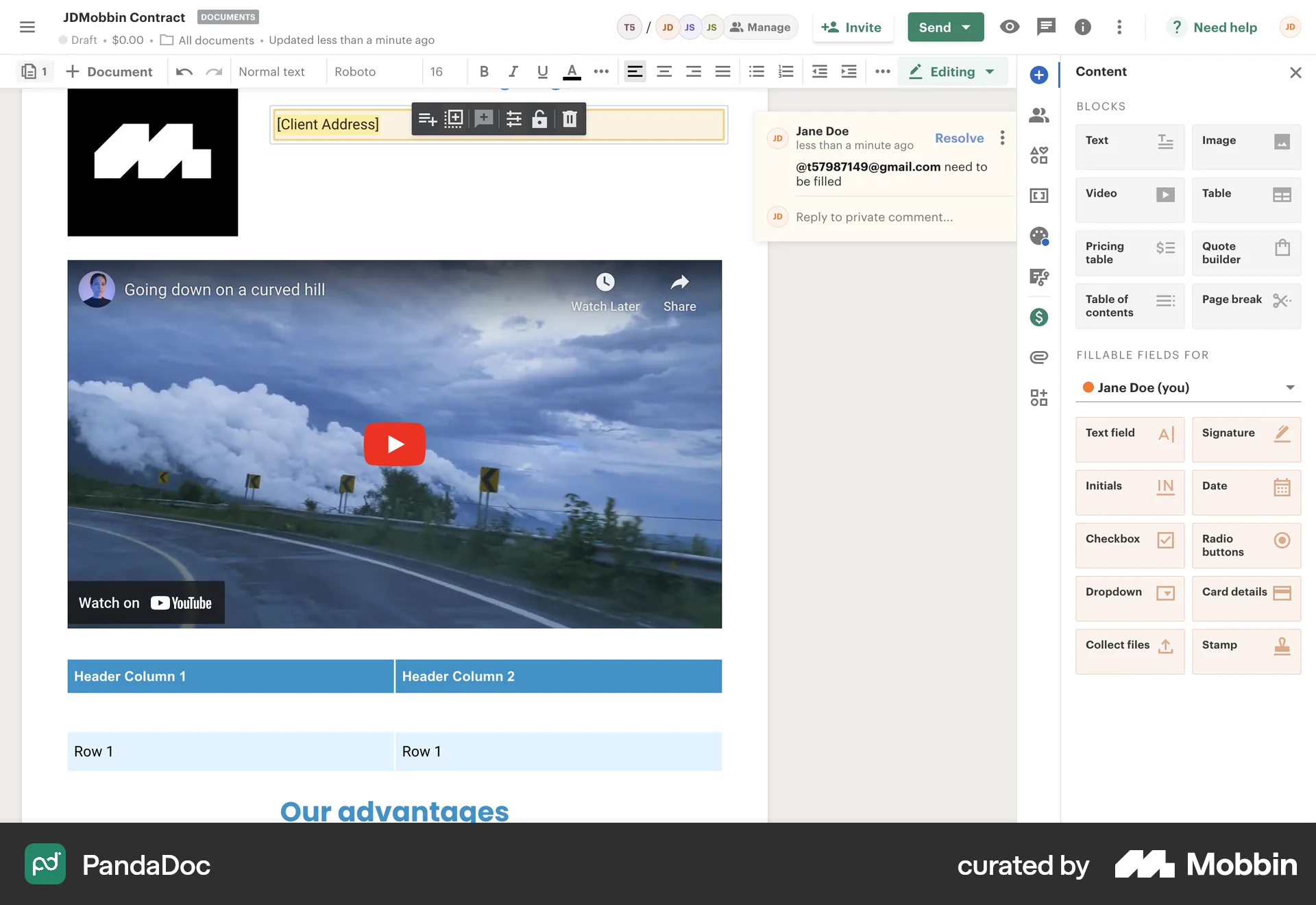 PandaDoc Web Comments screen
