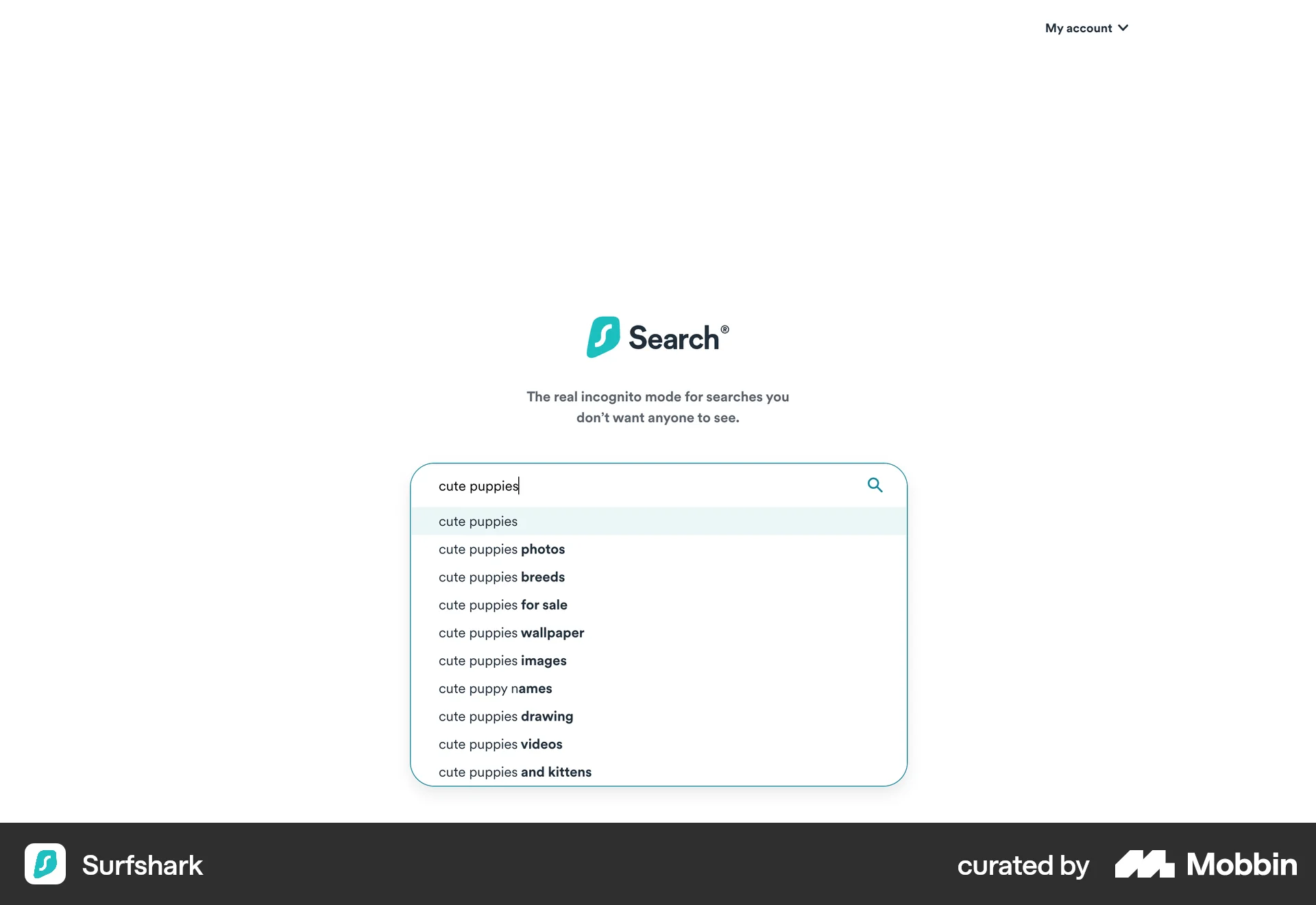 Surfshark Web screen containing Search Bar UI element