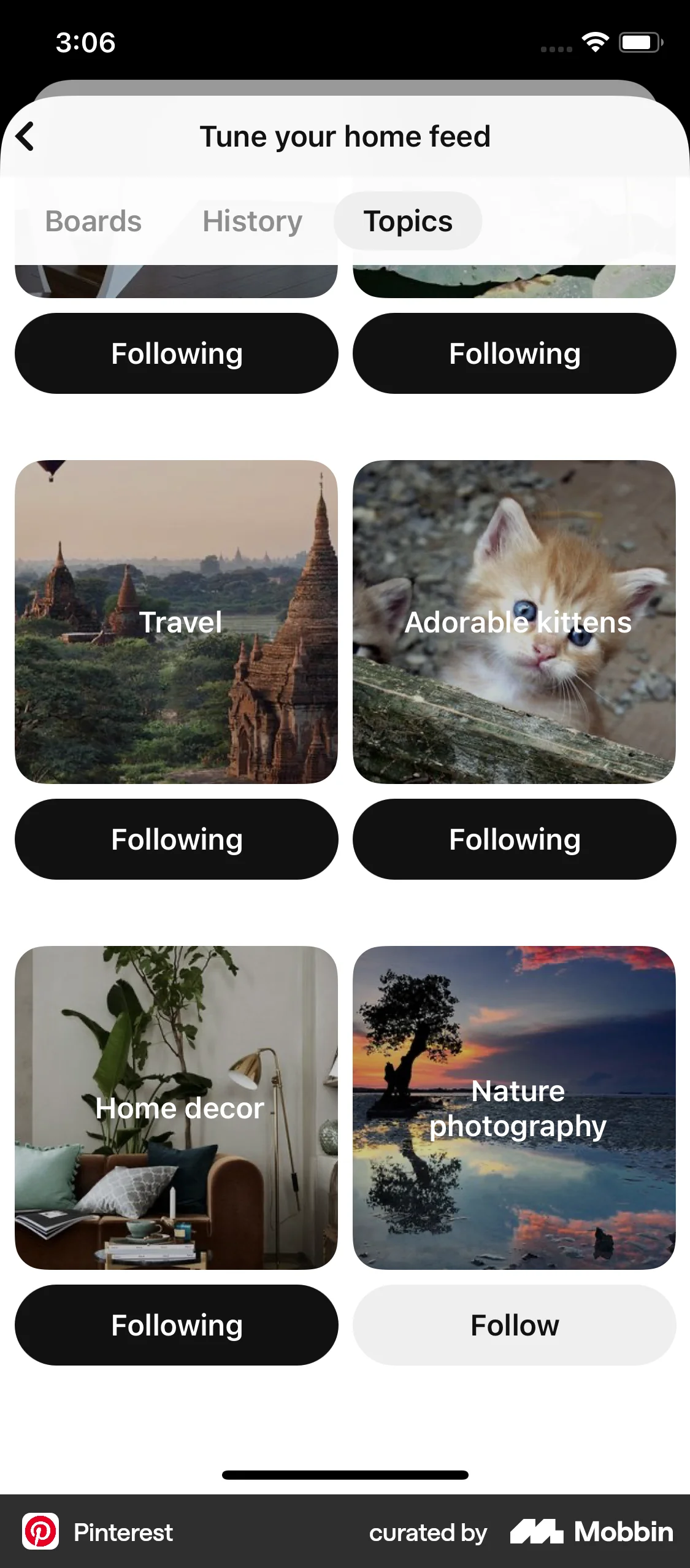 Pinterest iOS Followers & Following screen