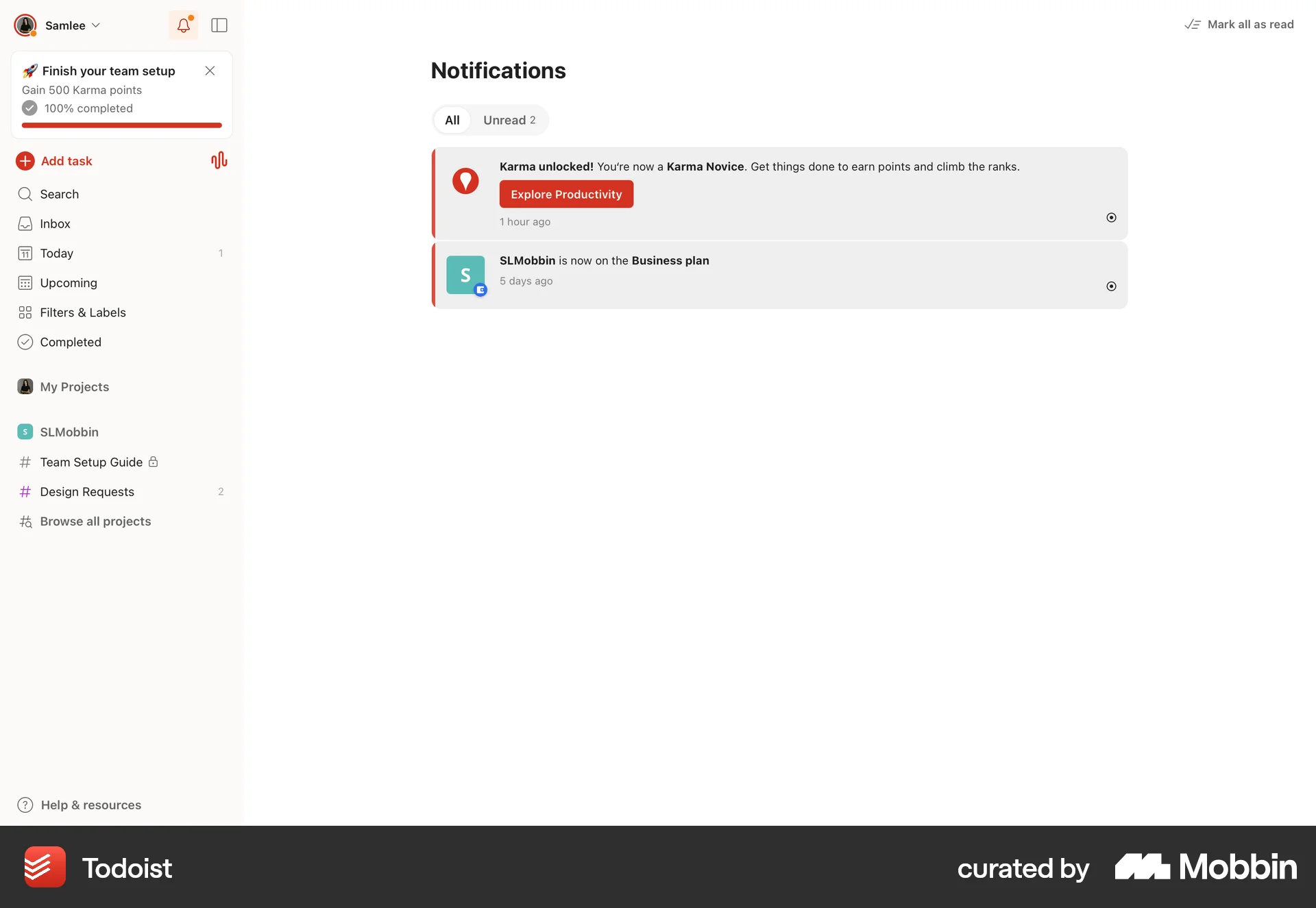 Todoist Web Notifications screen