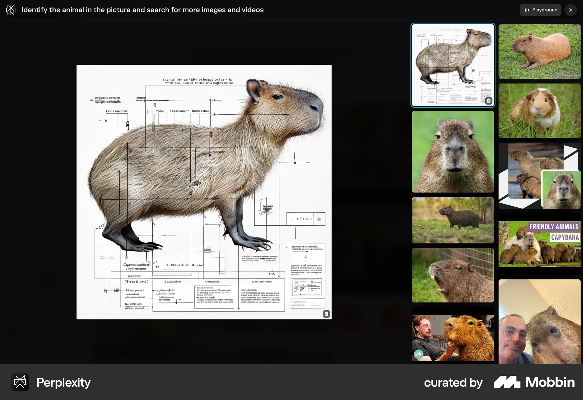 Perplexity Web screen containing Full-Screen Overlay UI element