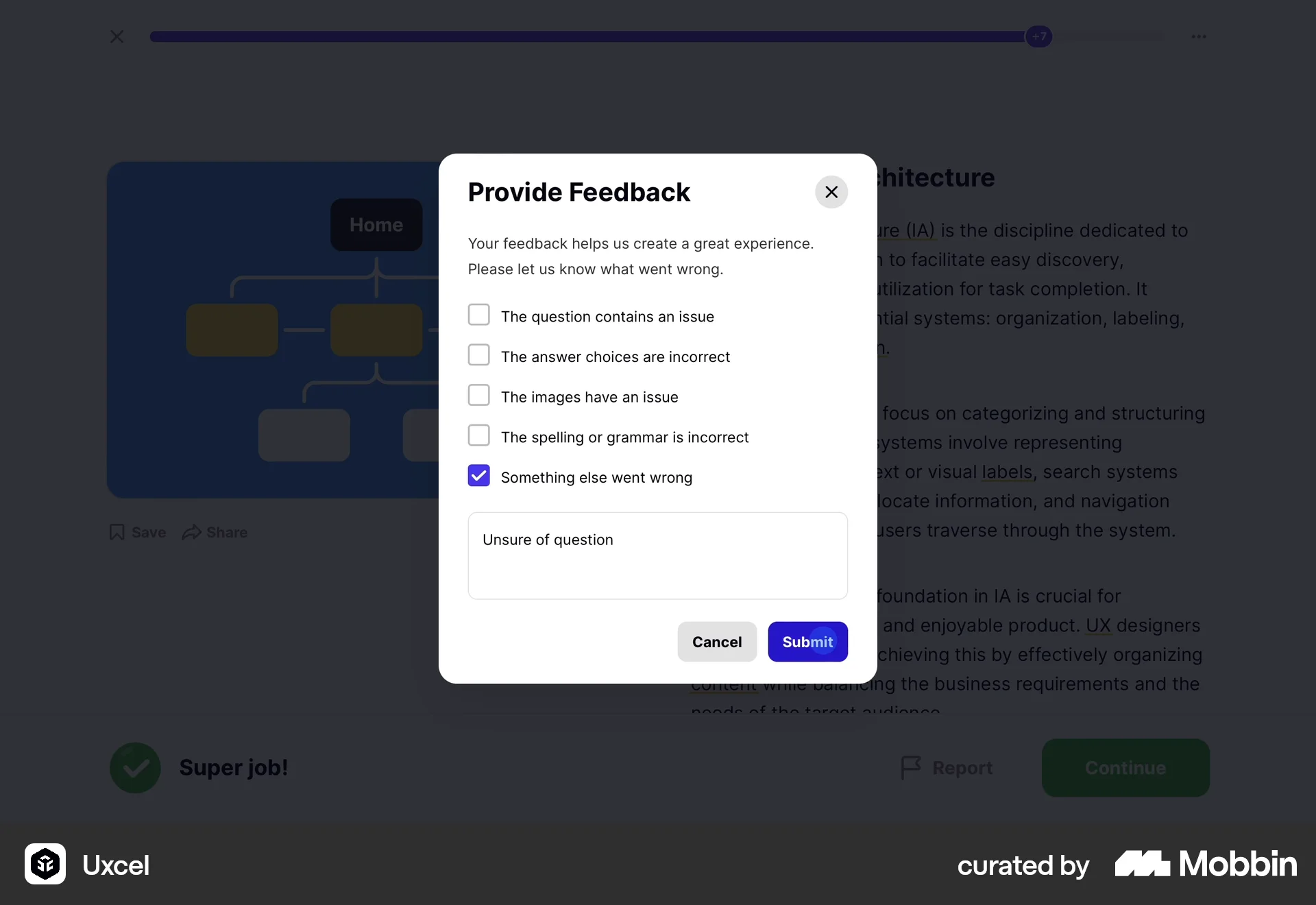 Uxcel Web Flag & Report screen