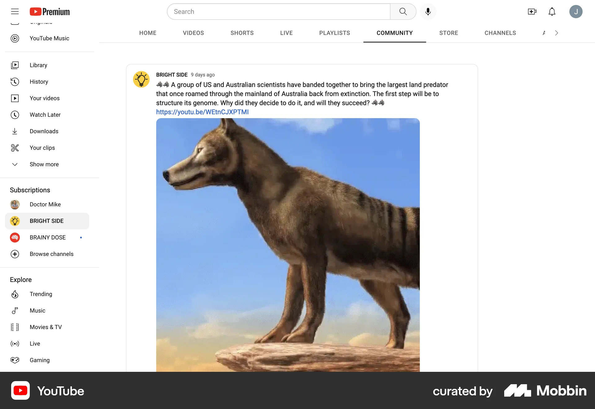 YouTube Web Social Feed screen