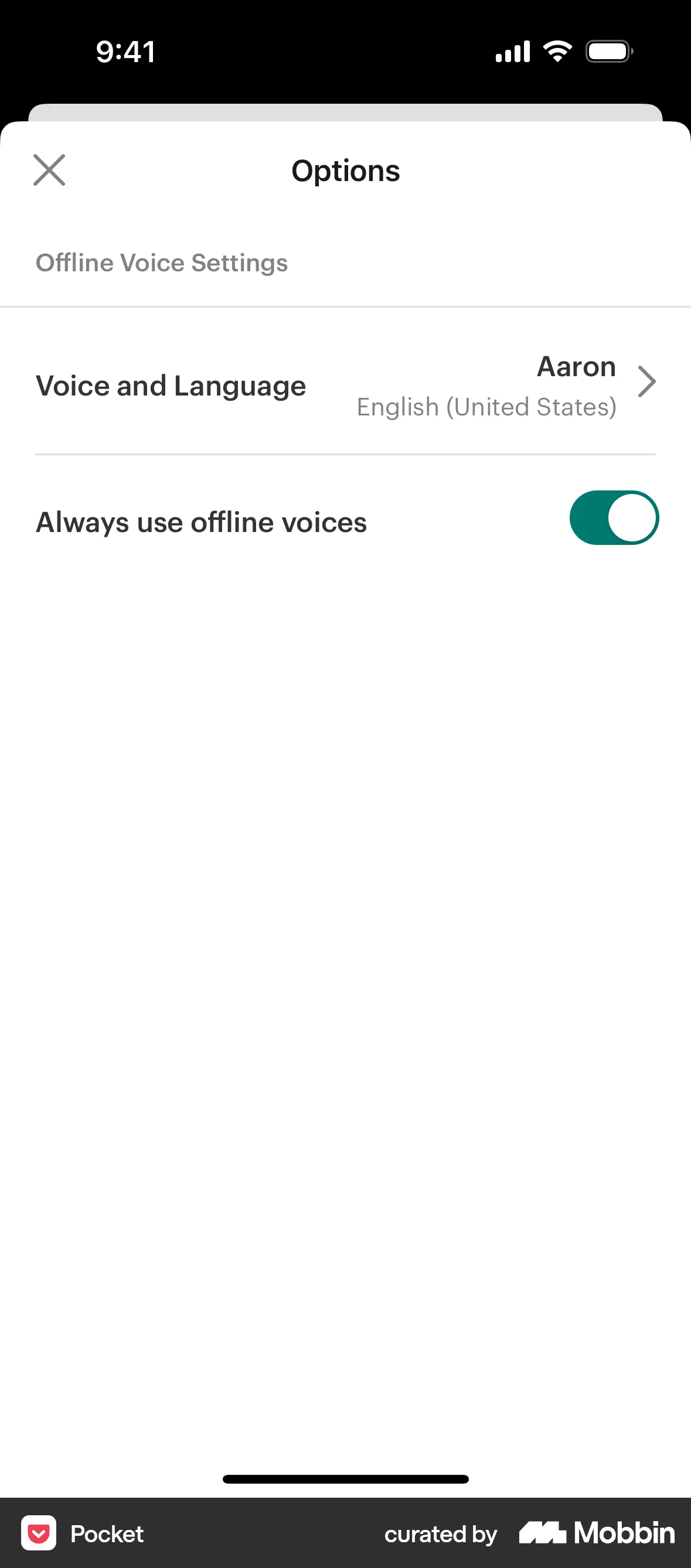 Pocket iOS Voice UI screen