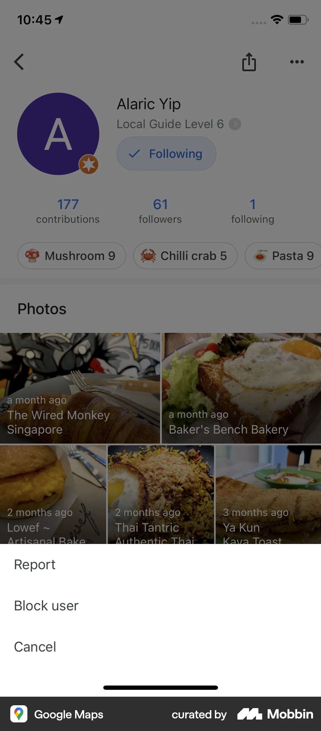 Google Maps iOS Action Option screen