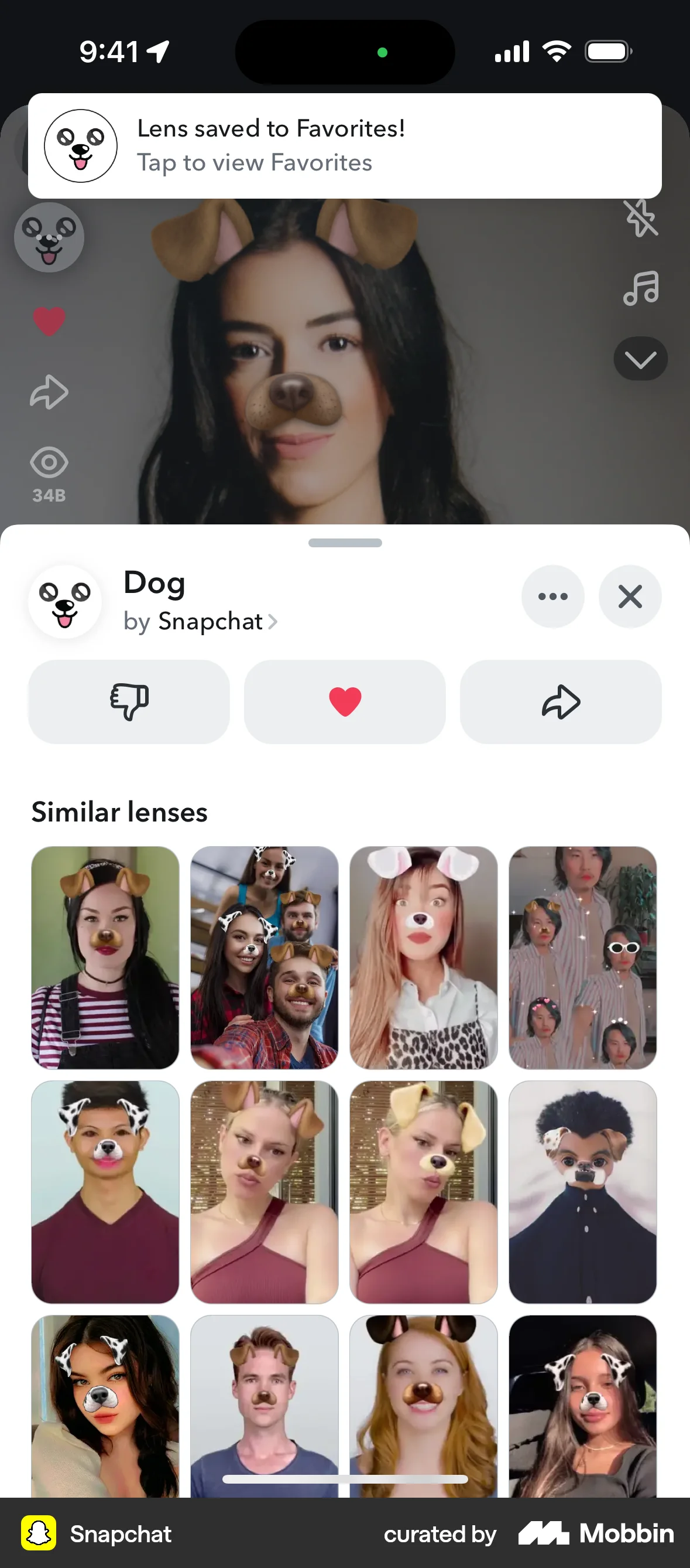 Snapchat iOS Favorite & Pin screen