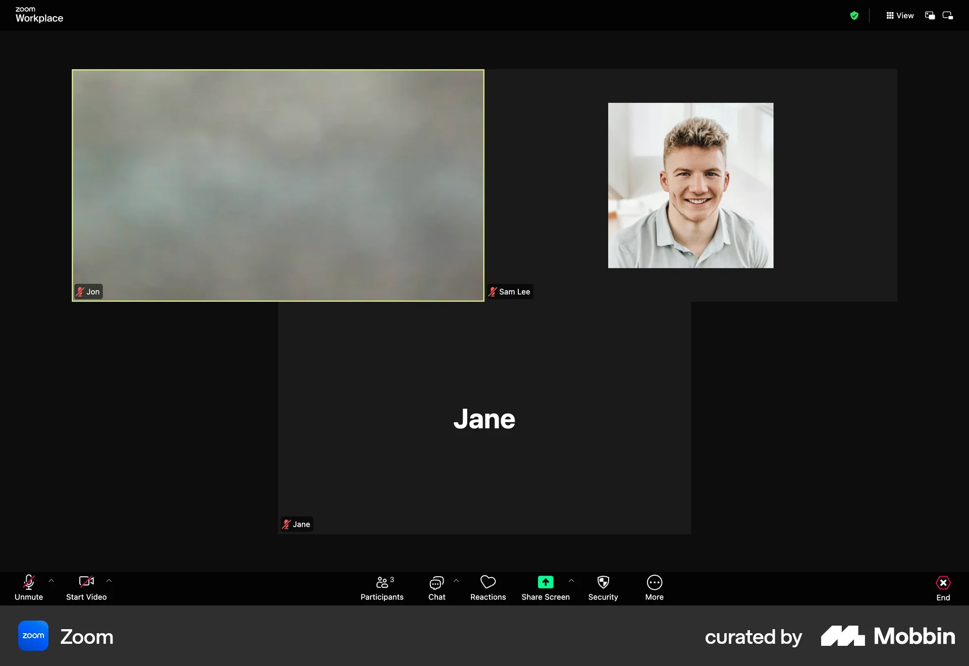 Zoom Web Call screen