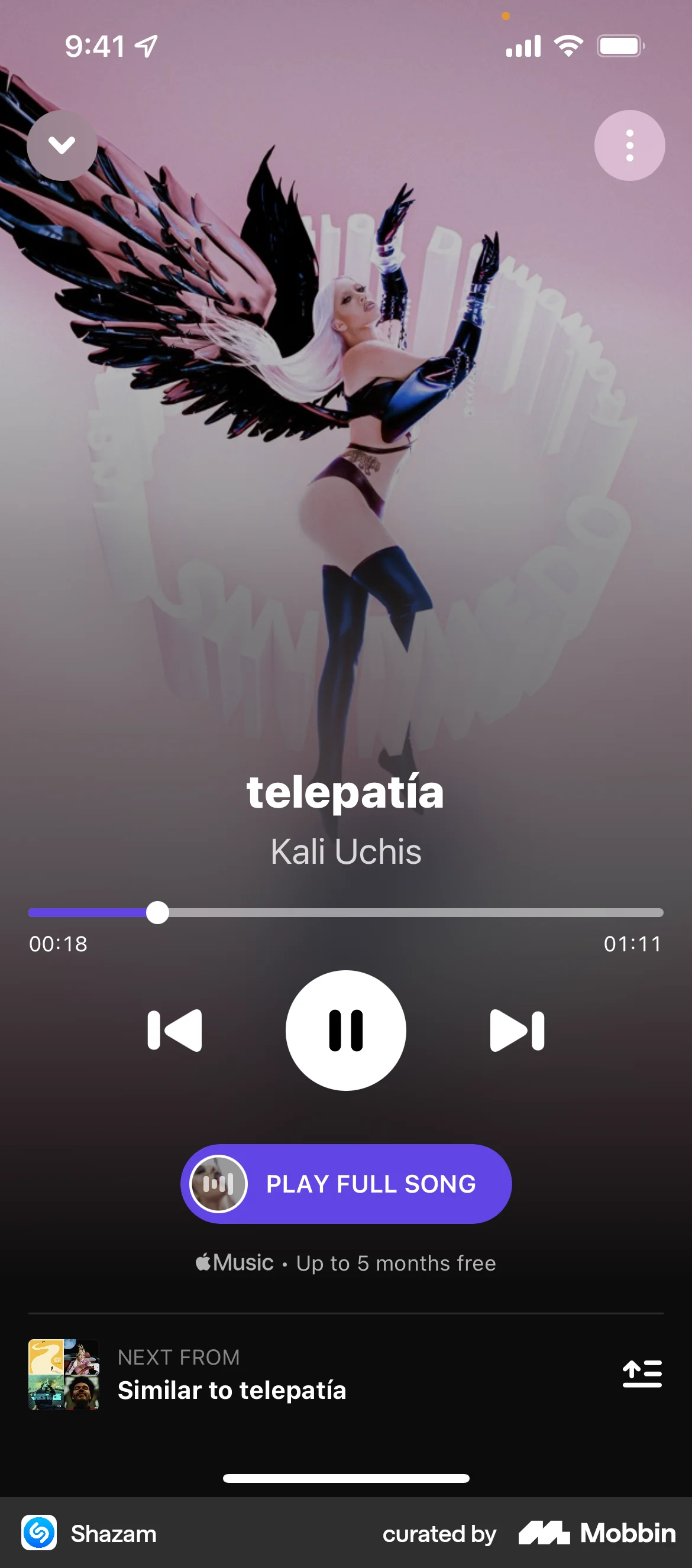 Shazam iOS Audio Player screen