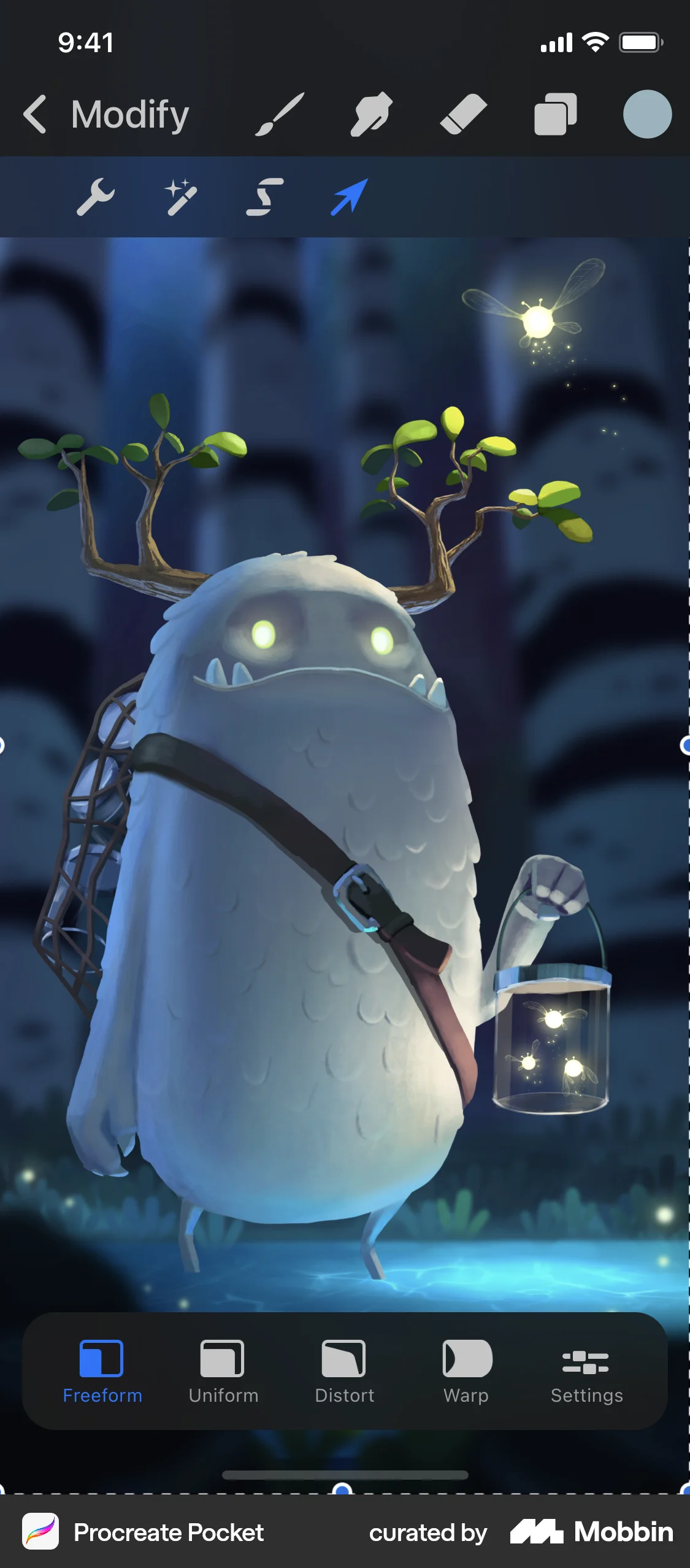 Procreate Pocket iOS Media Editor screen