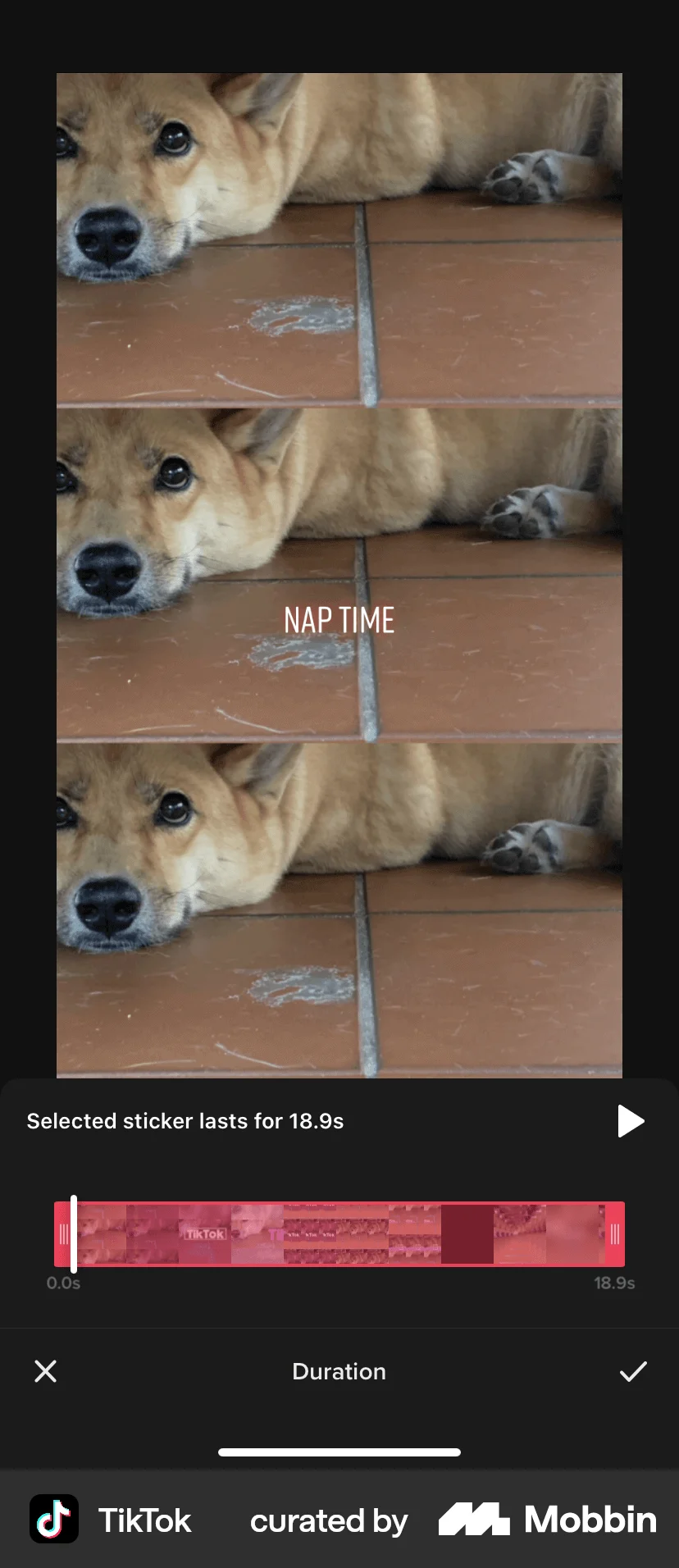 TikTok iOS Media Editor screen