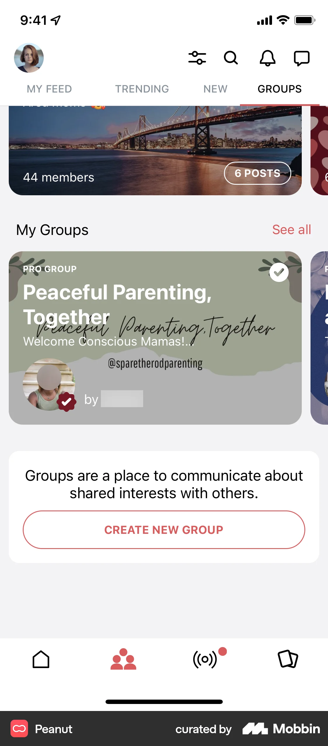 Peanut iOS Social Feed screen