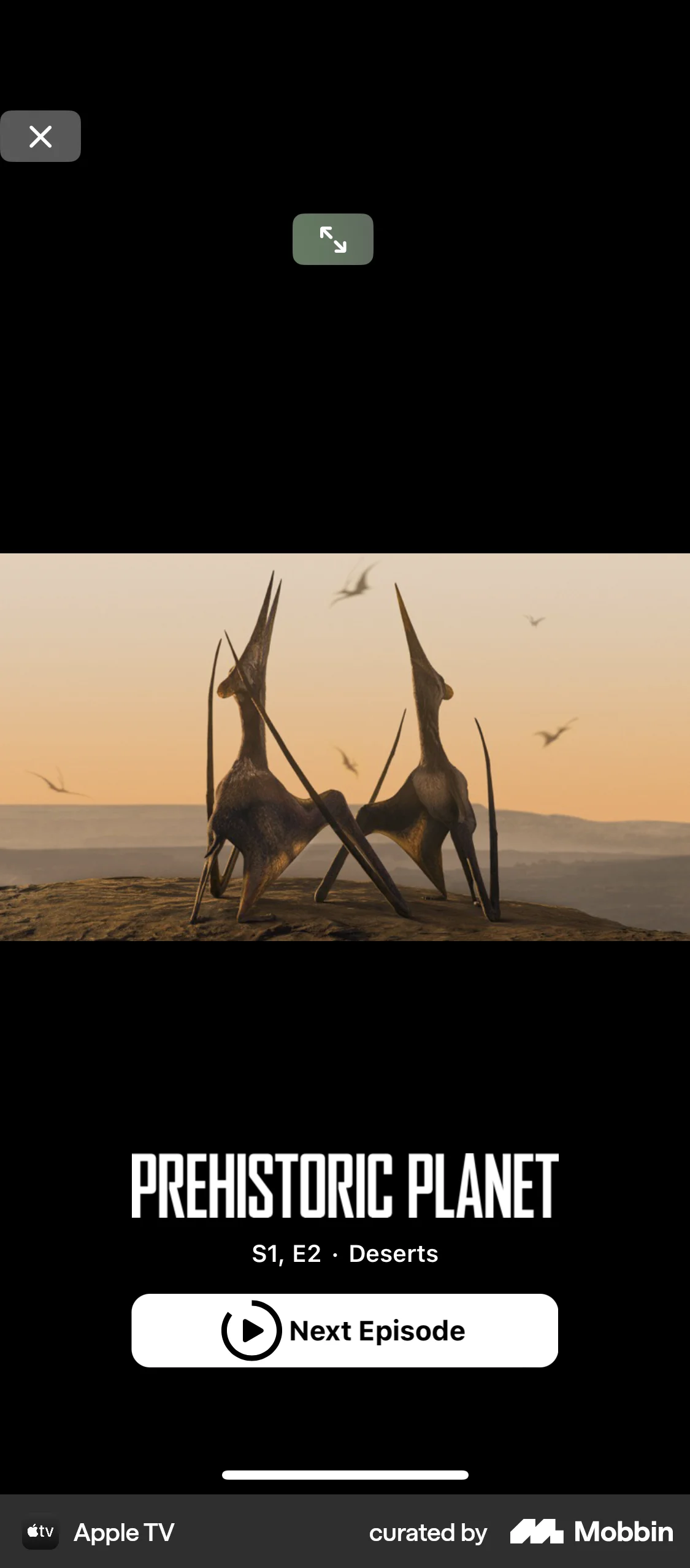 Apple TV iOS Video Player screen