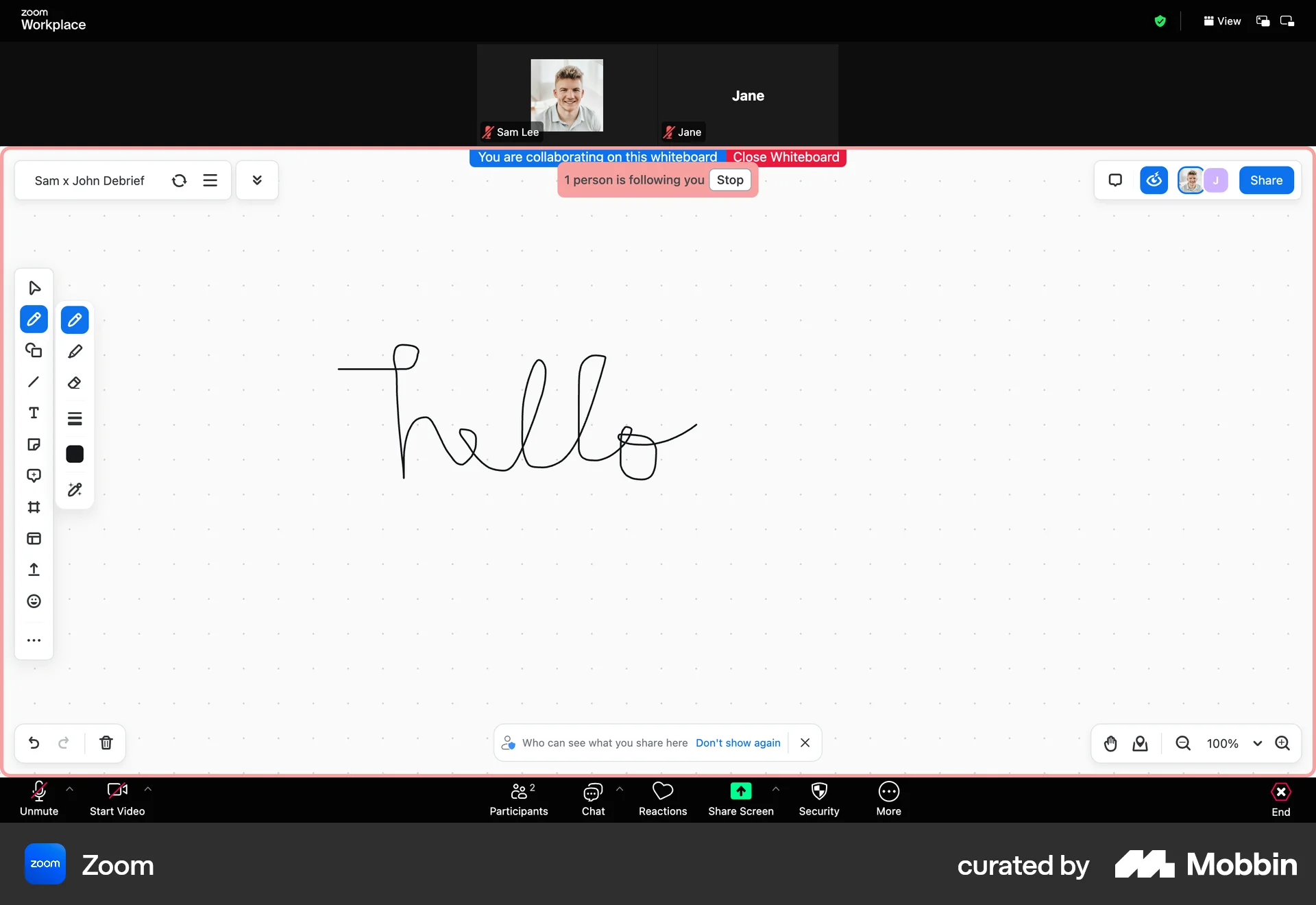 Zoom Web Draw & Annotate screen