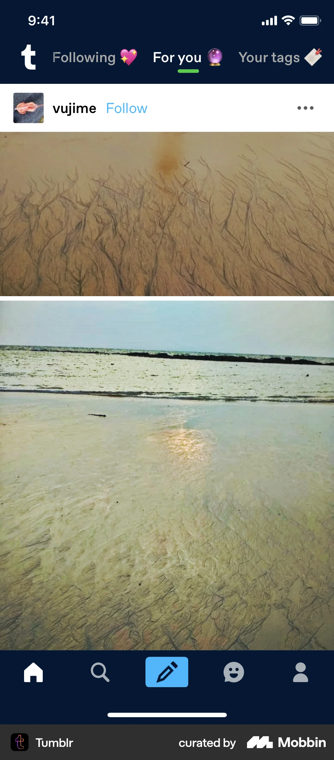 Tumblr iOS Social Feed screen